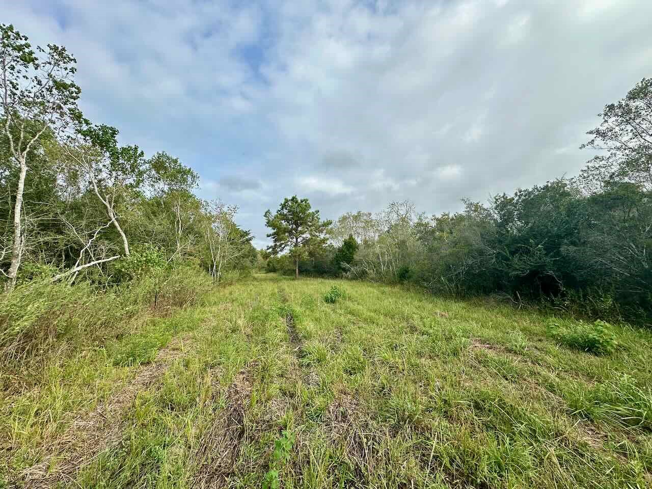 6742 Eagle Rd Property Photo 6