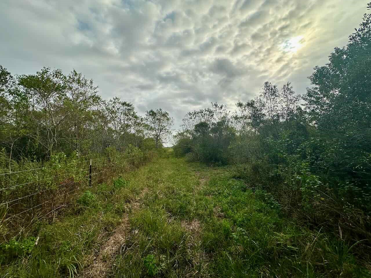 6742 Eagle Rd Property Photo 7