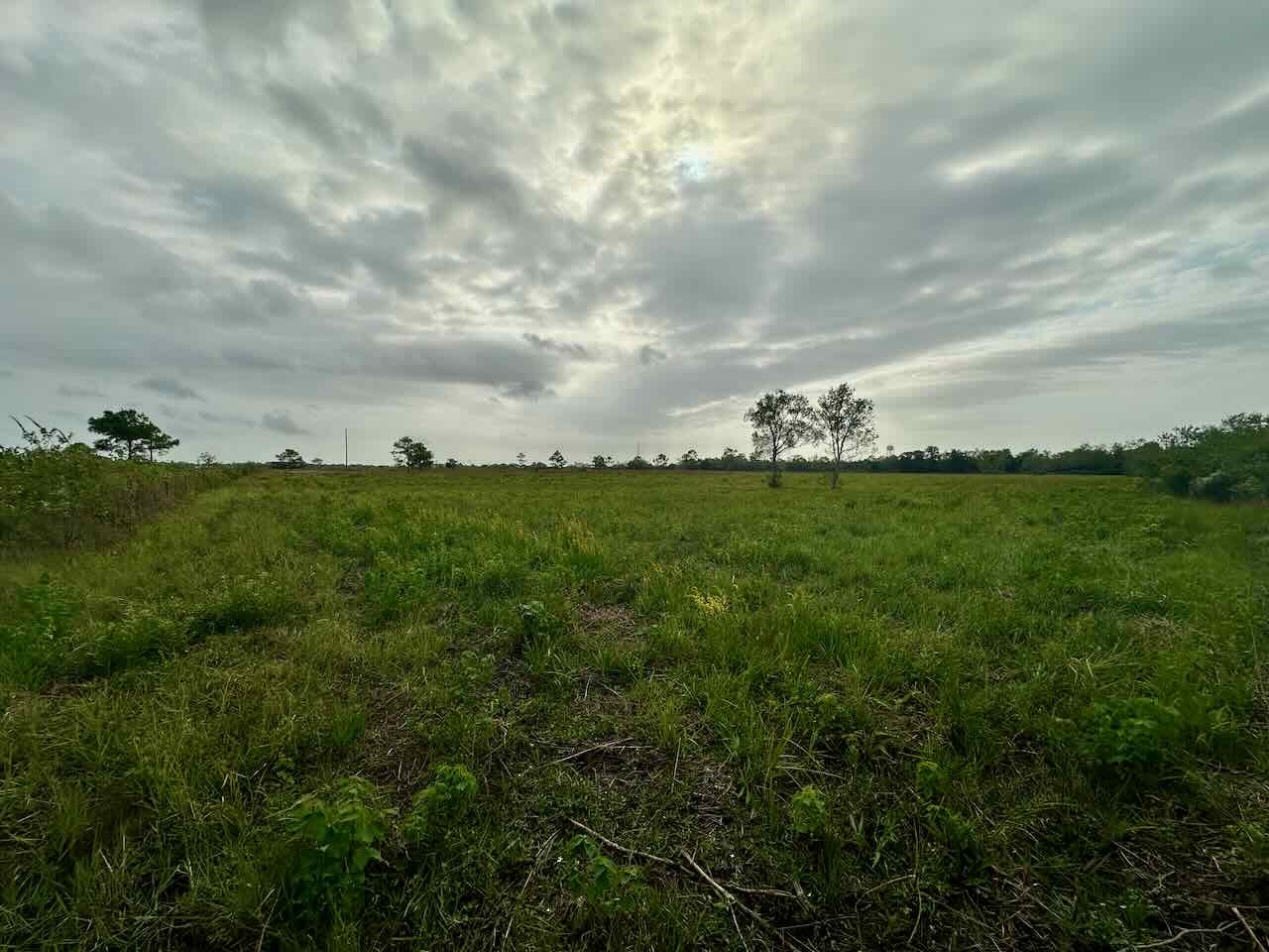 6742 Eagle Rd Property Photo 8