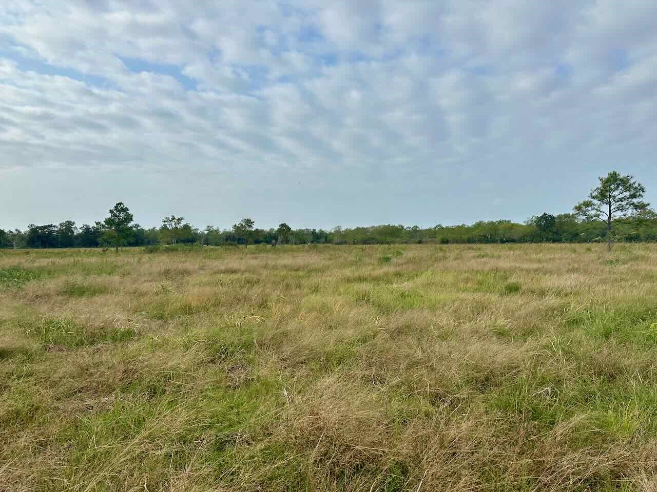 6742 Eagle Rd Property Photo 9