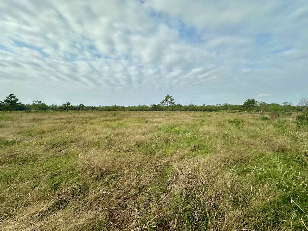 6742 Eagle Rd Property Photo 10