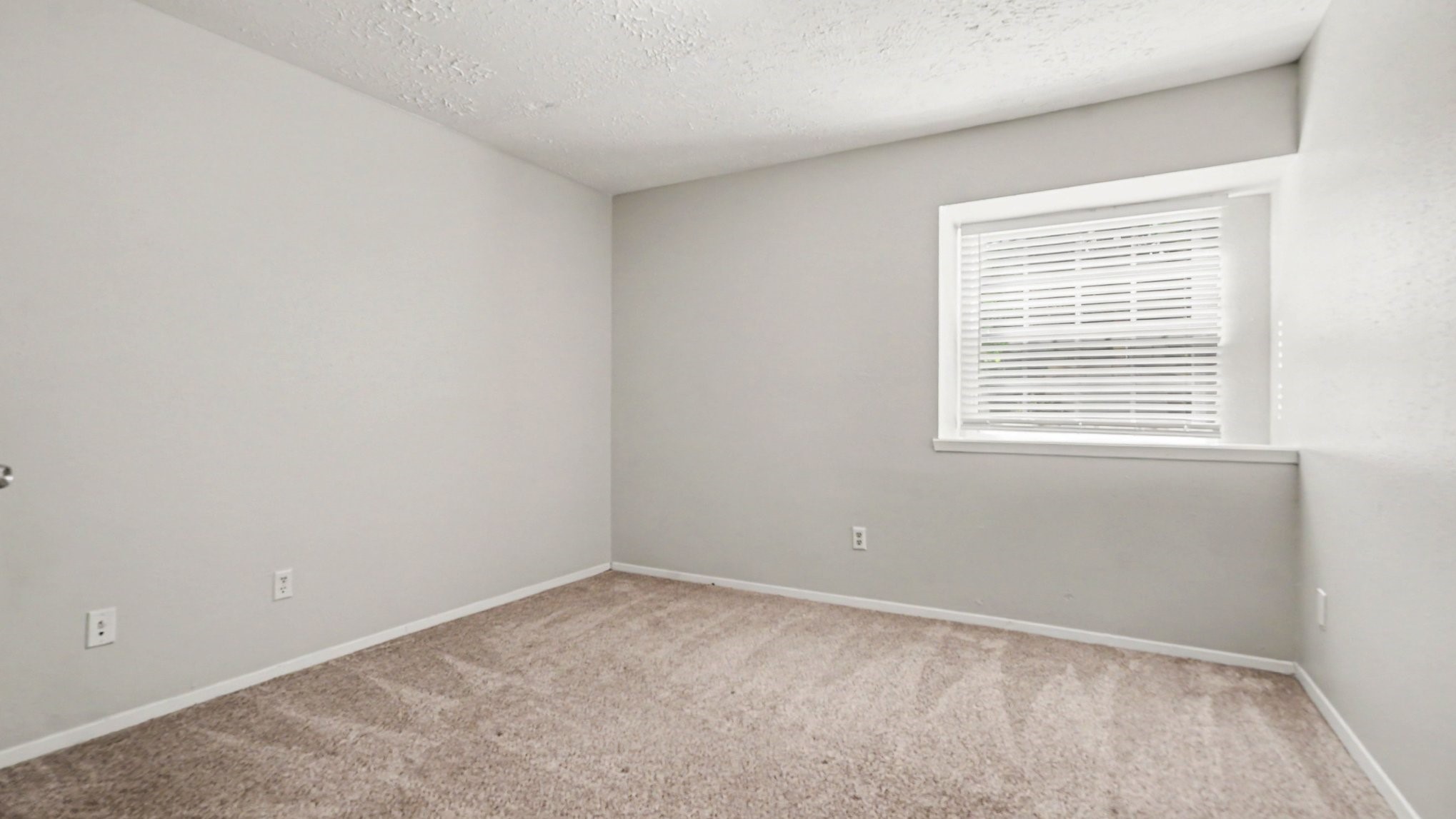 4423 Rosegate Drive Property Photo 8