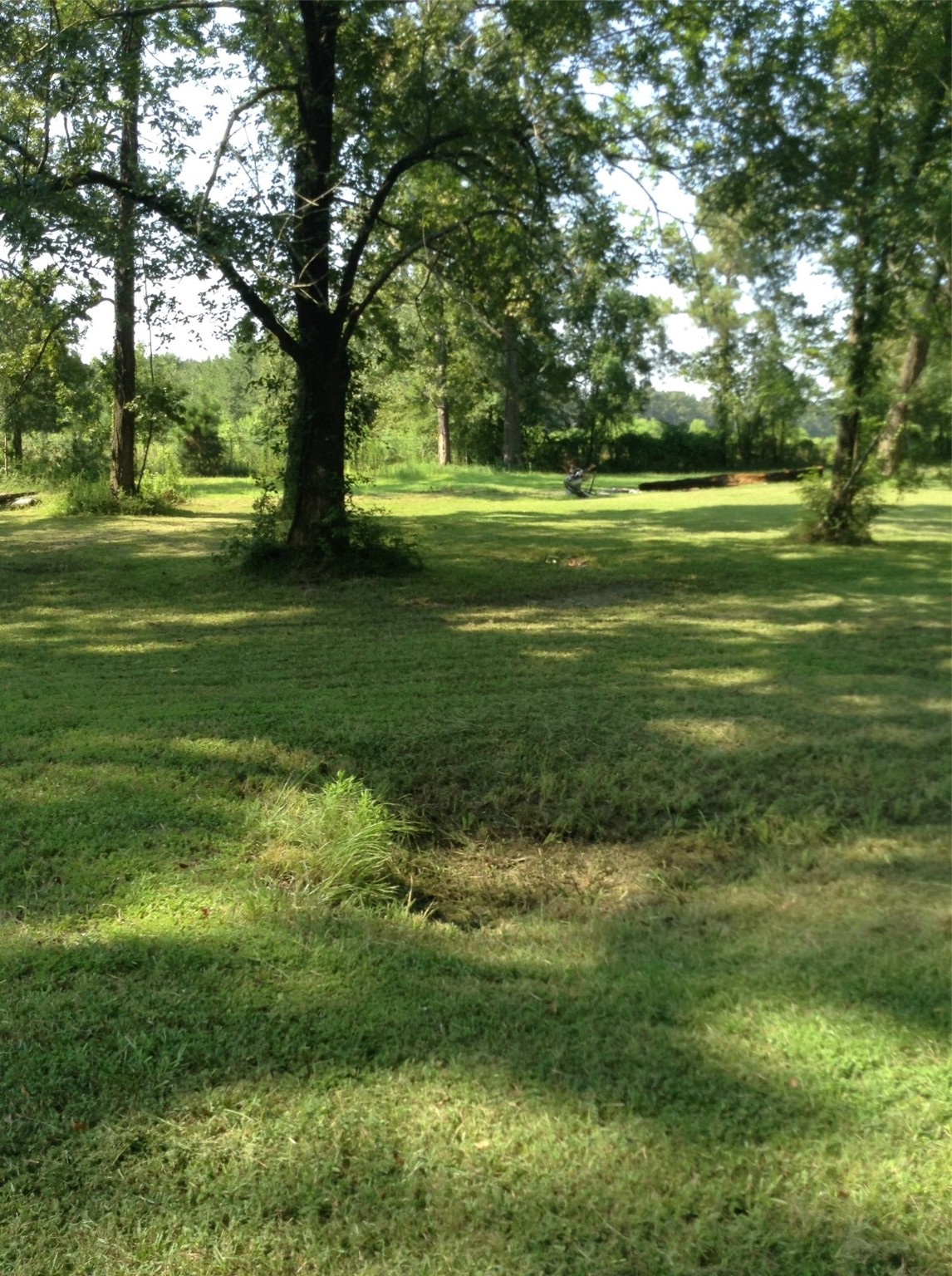 26340 Blackberry Lane Property Photo 6