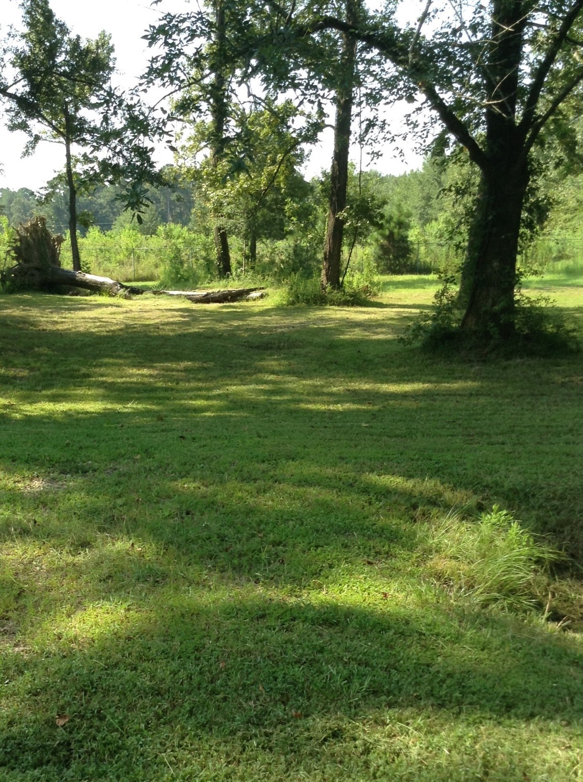 26340 Blackberry Lane Property Photo 7
