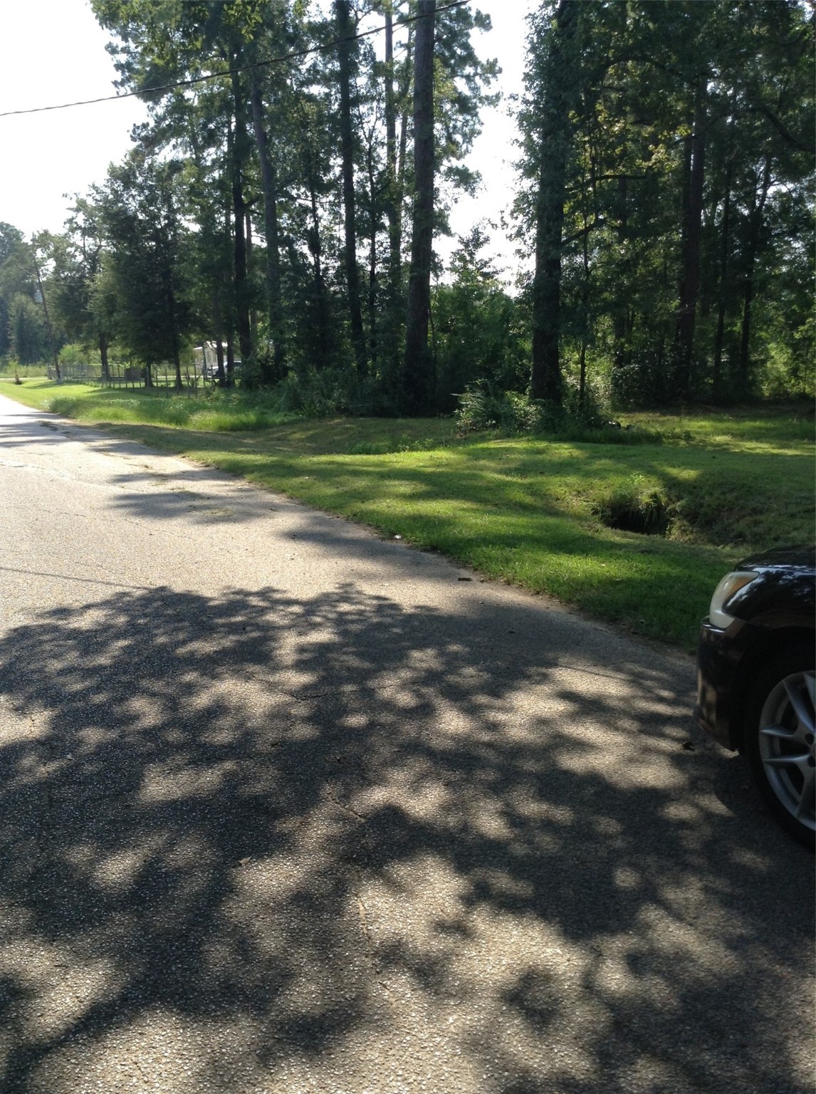 26340 Blackberry Lane Property Photo 9