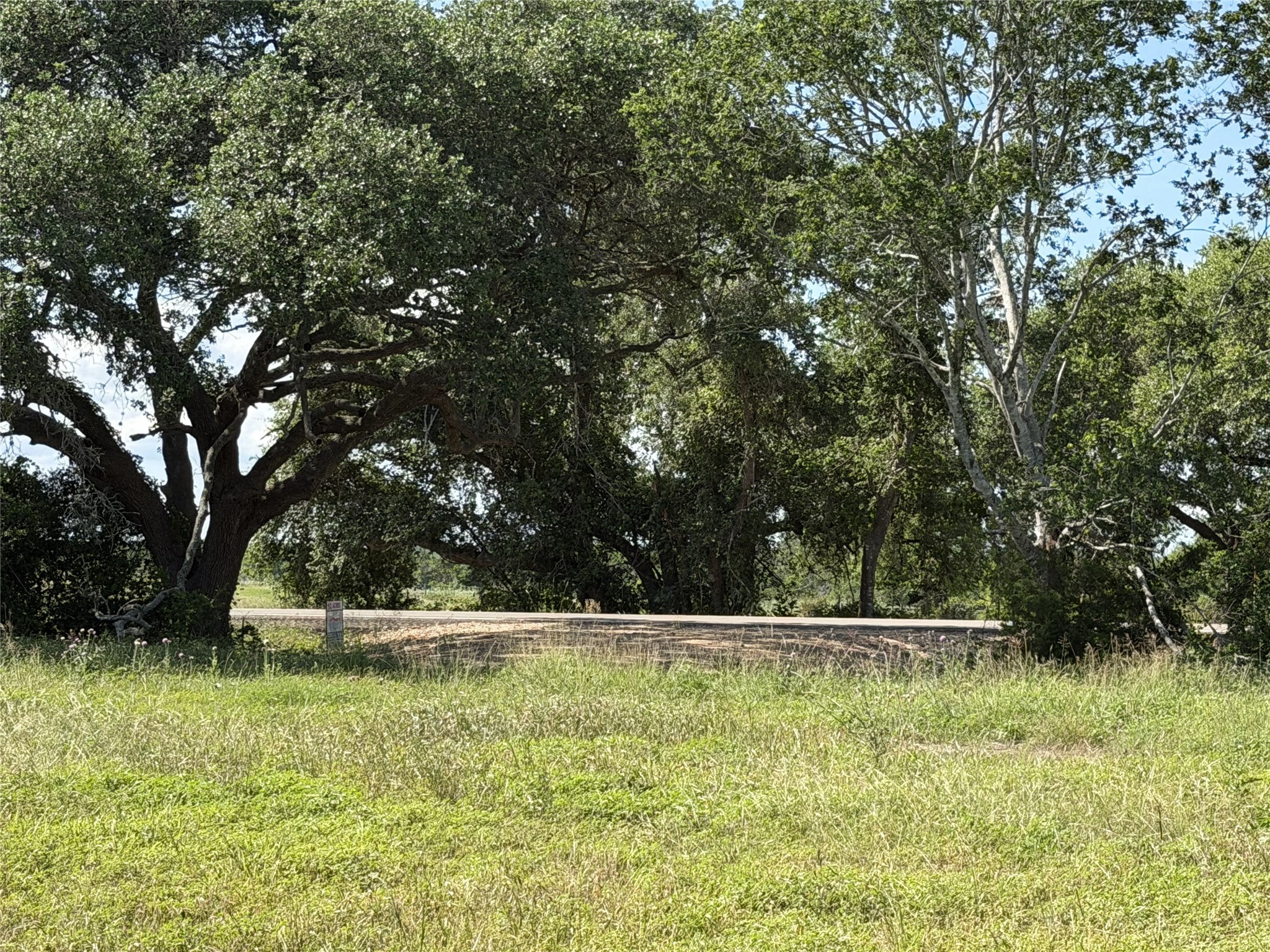 Tbd3 Farm To Market Road 532 Property Photo 1
