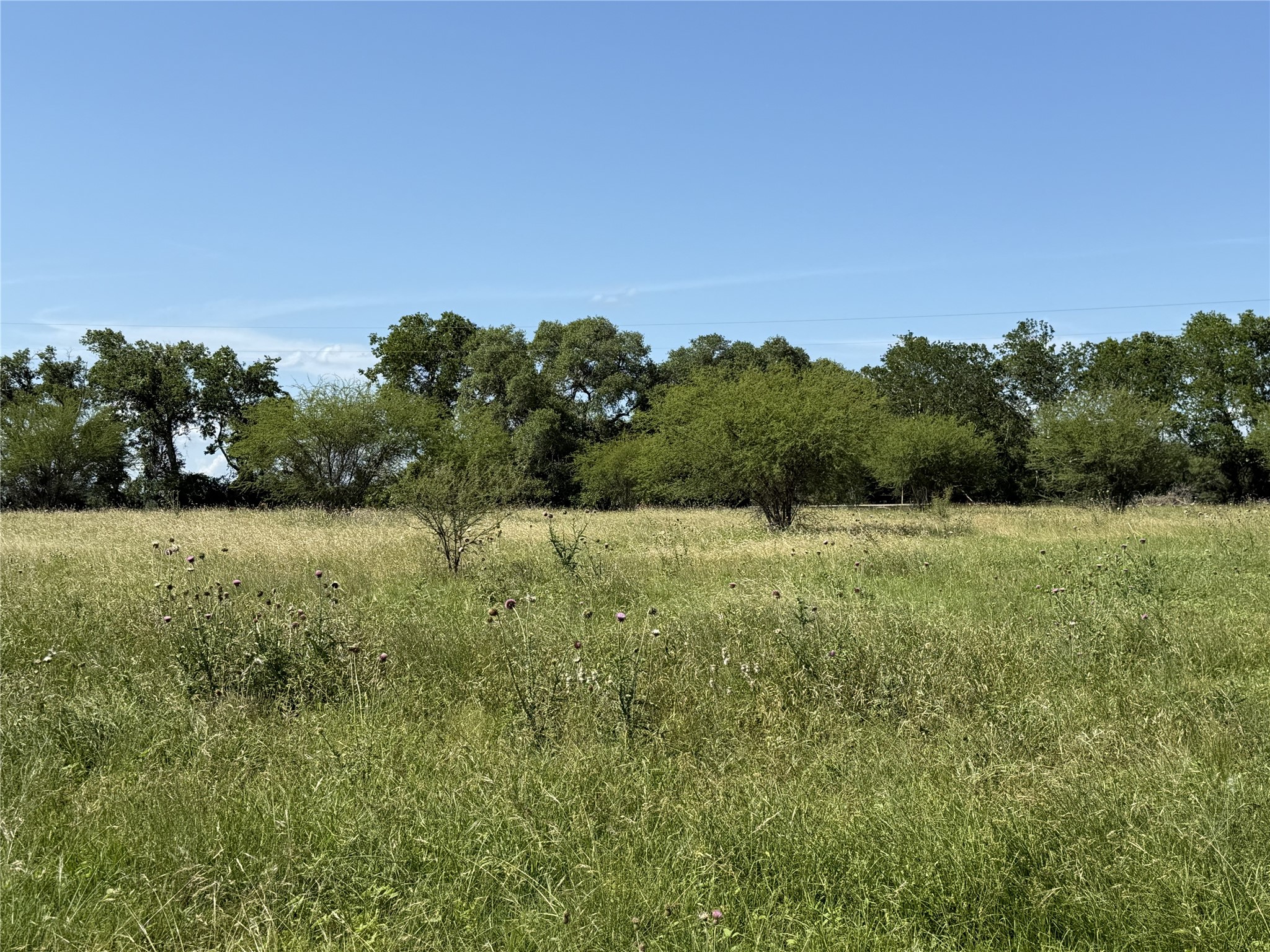 Tbd3 Farm To Market Road 532 Property Photo 7