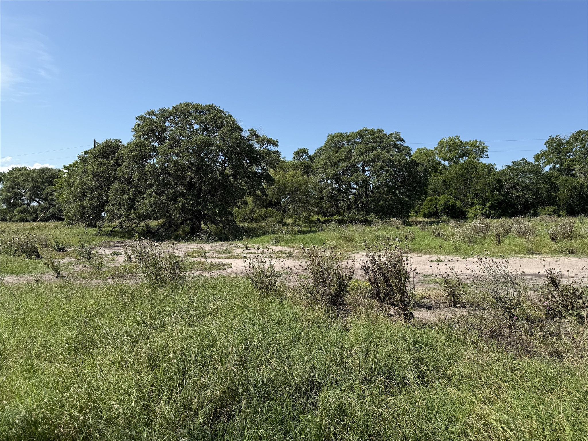 Tbd3 Farm To Market Road 532 Property Photo 10