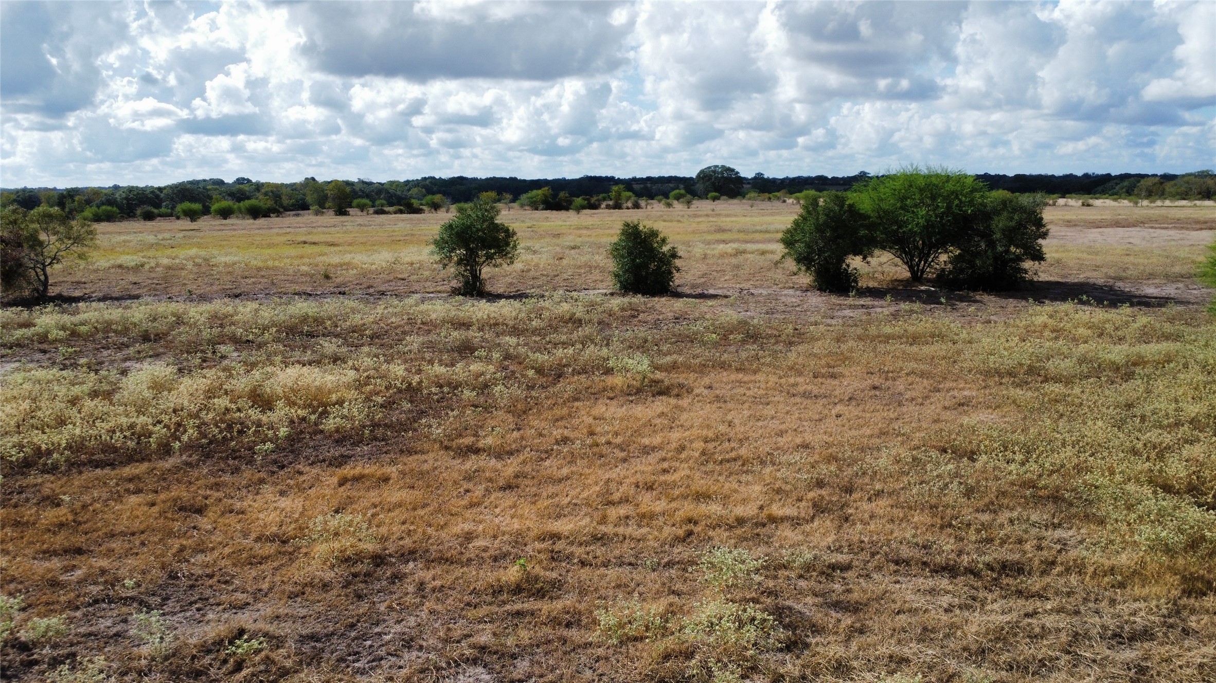 Tbd3 Farm To Market Road 532 Property Photo 12