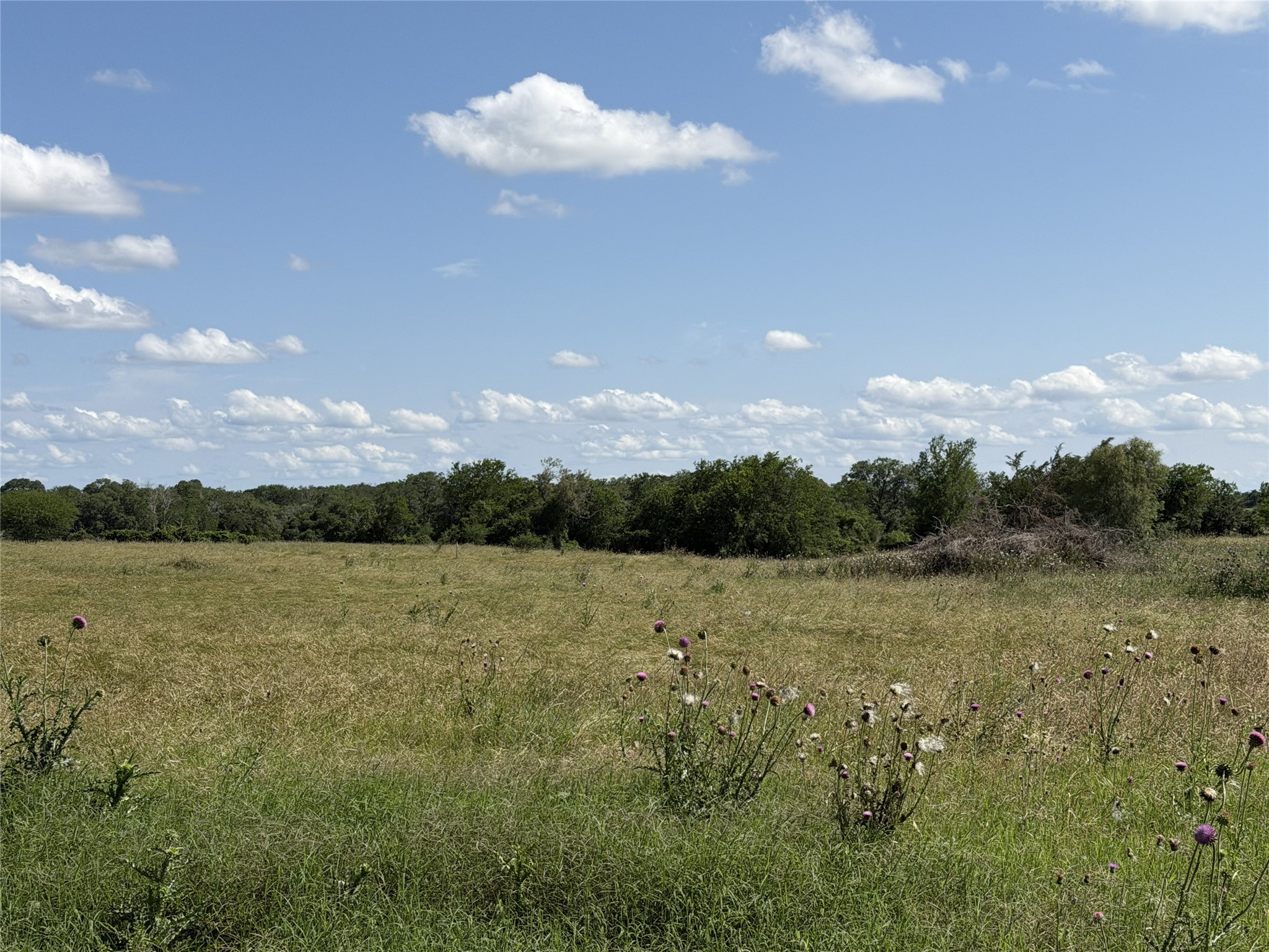 Tbd3 Farm To Market Road 532 Property Photo 14