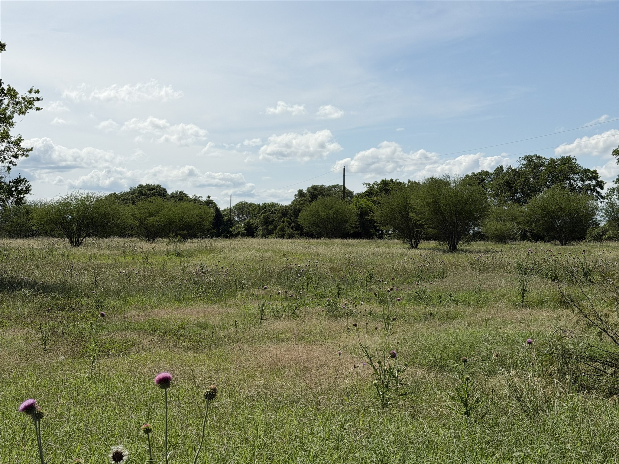 Tbd3 Farm To Market Road 532 Property Photo 15