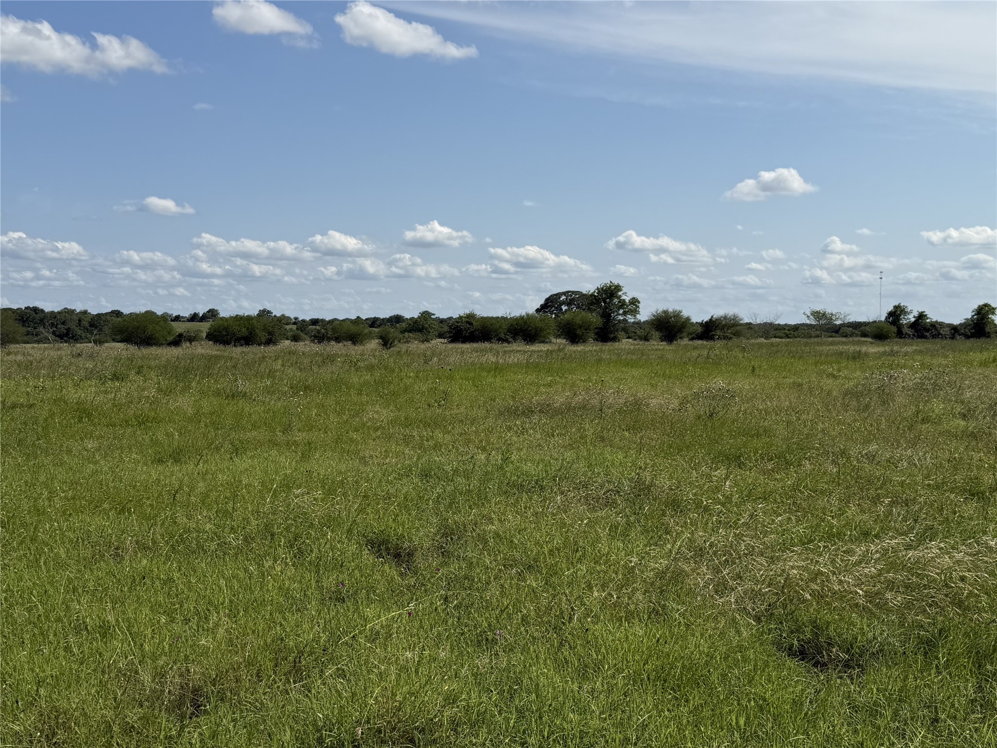 Tbd3 Farm To Market Road 532 Property Photo 16