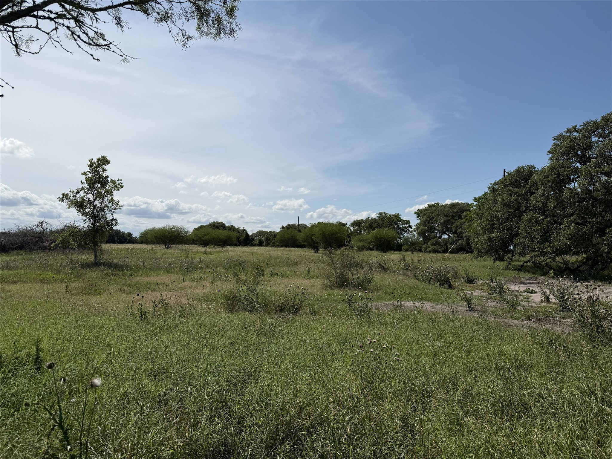 Tbd3 Farm To Market Road 532 Property Photo 18