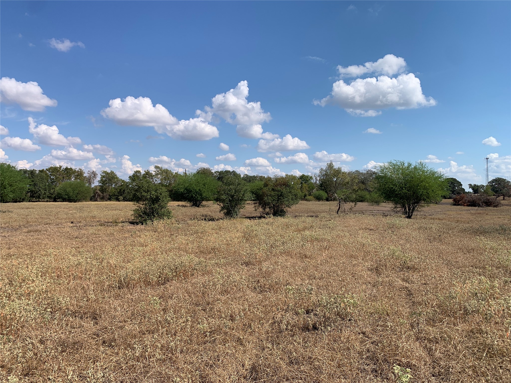 Tbd3 Farm To Market Road 532 Property Photo 19