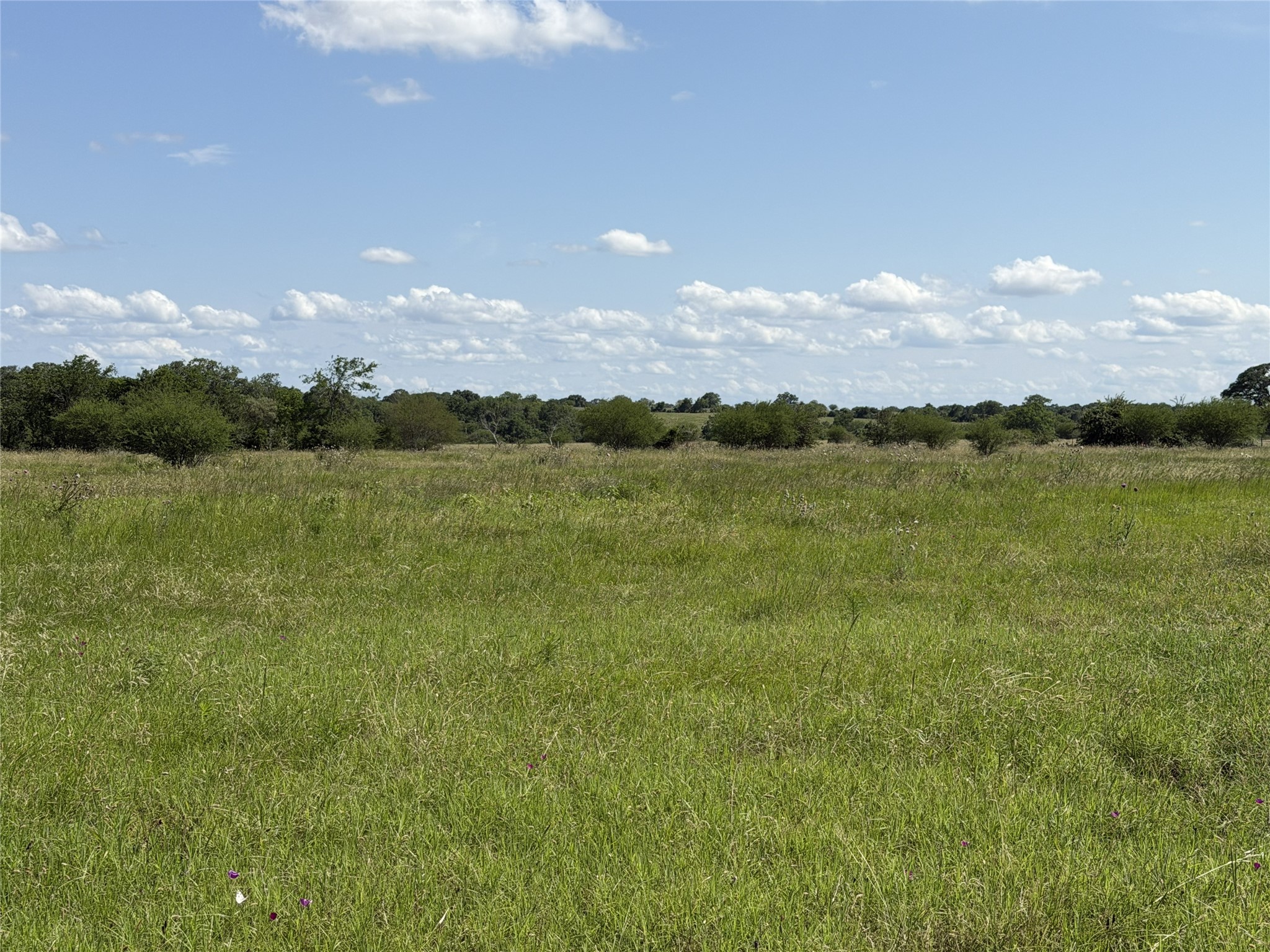 Tbd3 Farm To Market Road 532 Property Photo 20