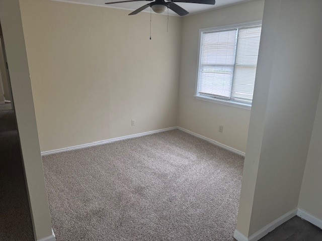 217 N Green Property Photo 3