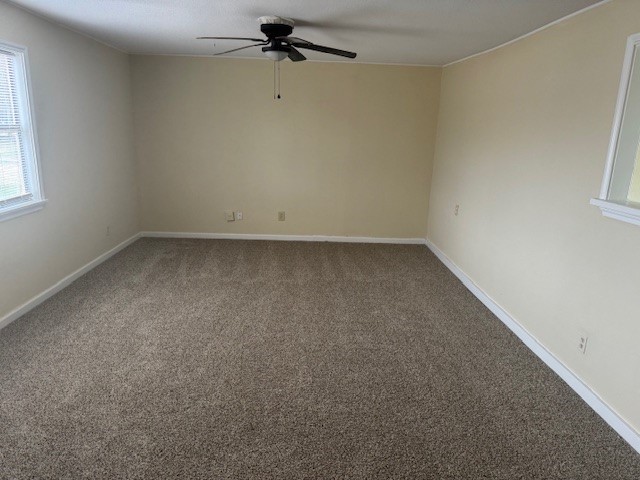 217 N Green Property Photo 6