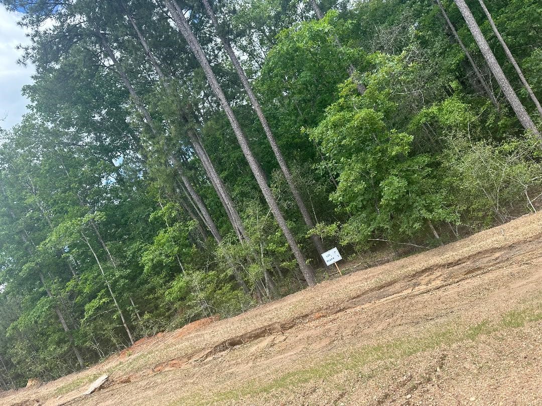 16279 Ridge Oak Road Property Photo 8