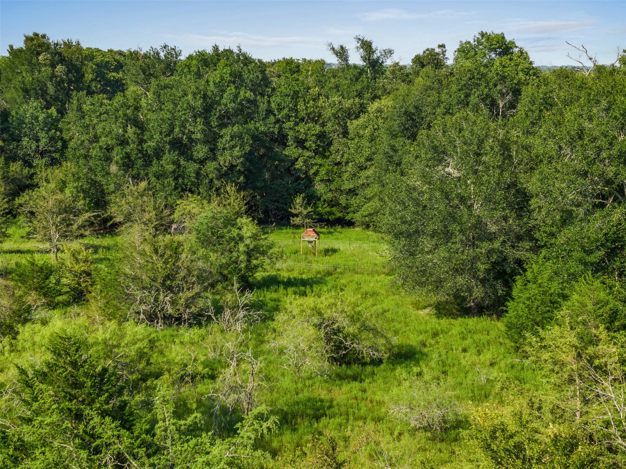 8825 Fm 937 Property Photo 18