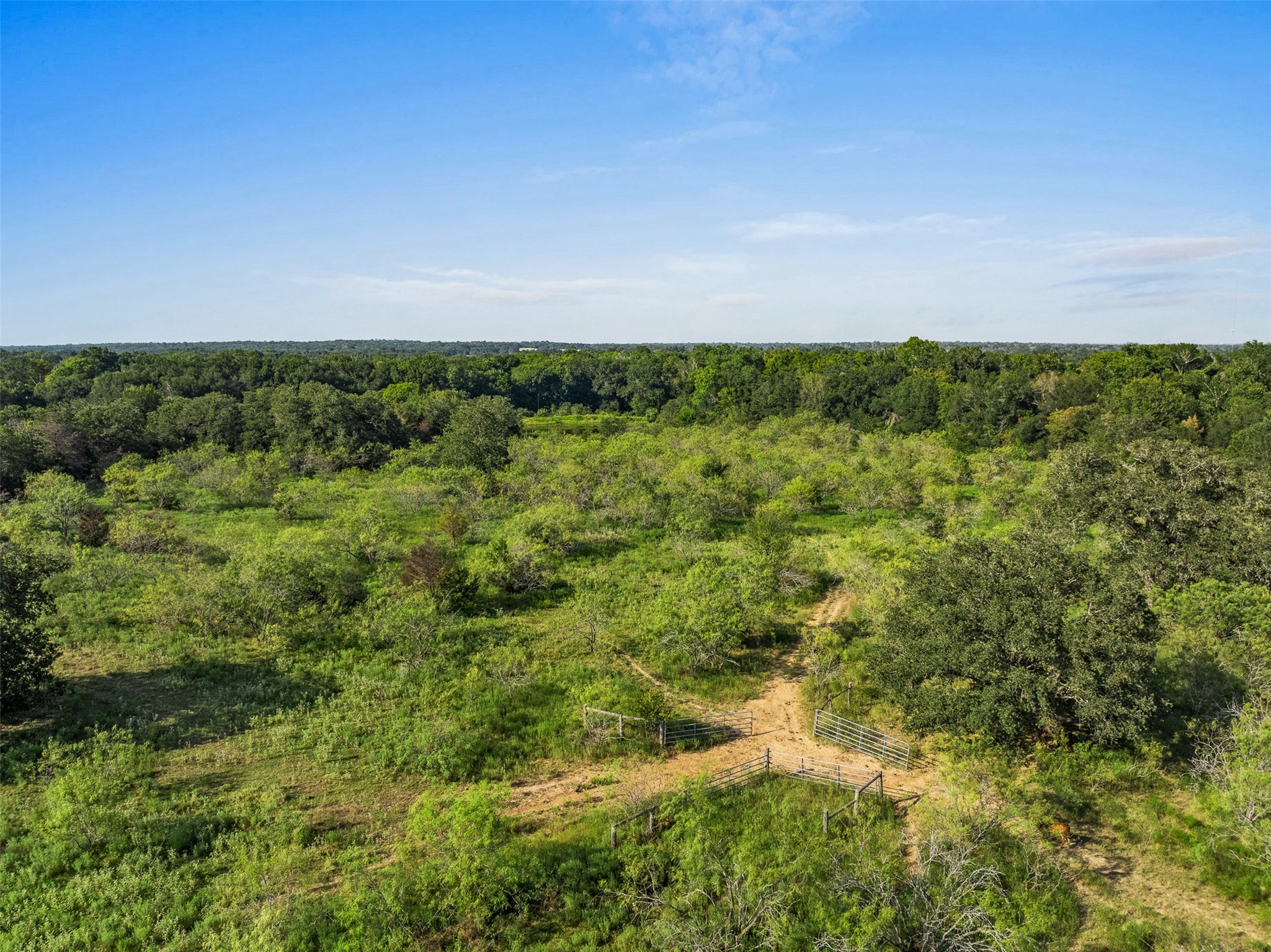 8825 Fm 937 Property Photo 20