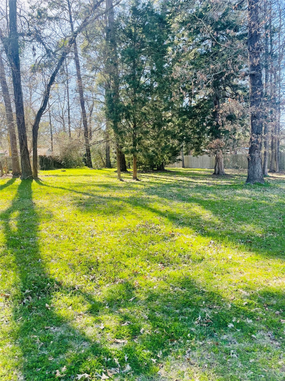 00 Shady Lane Property Photo 4