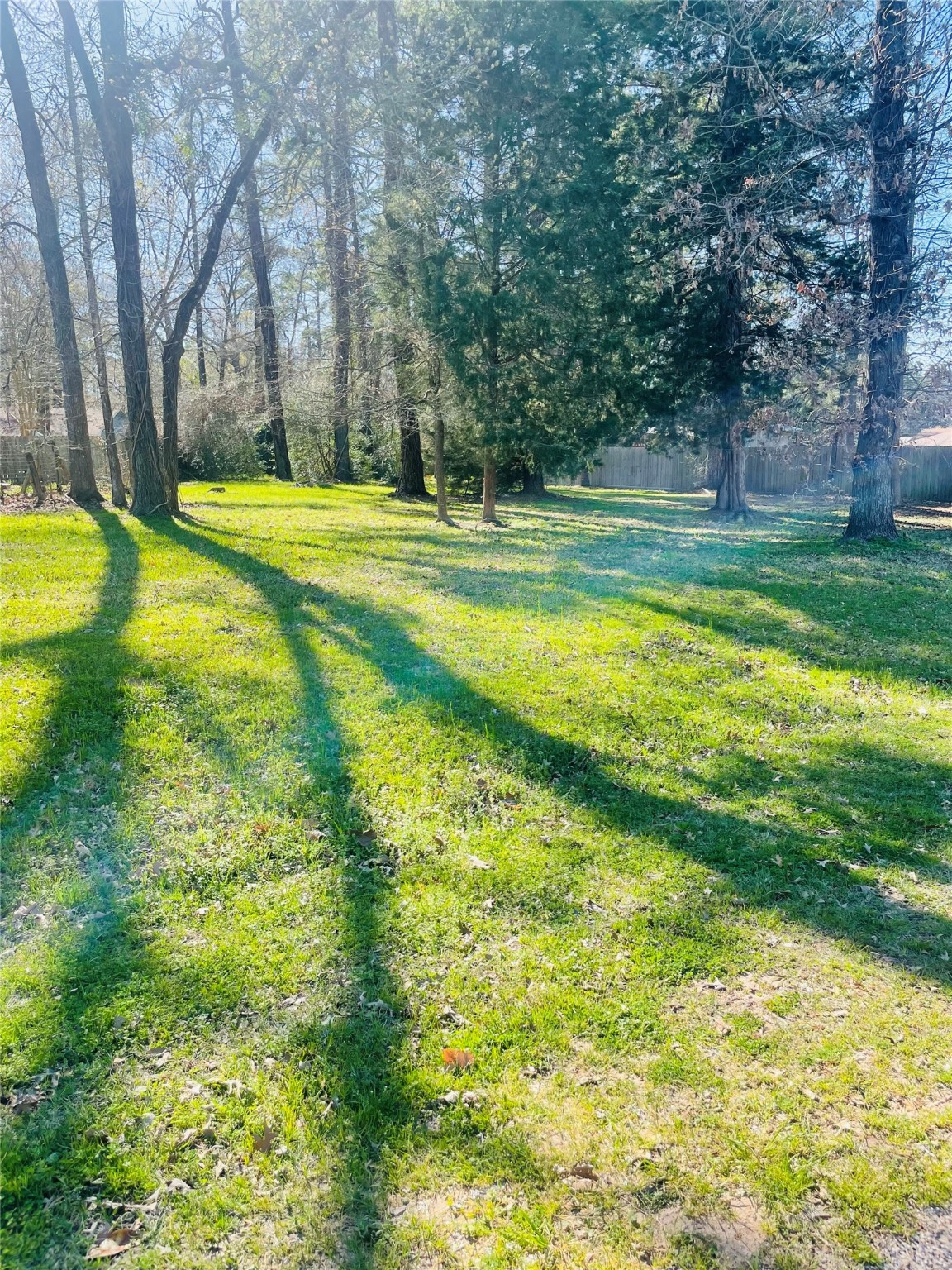 00 Shady Lane Property Photo 5