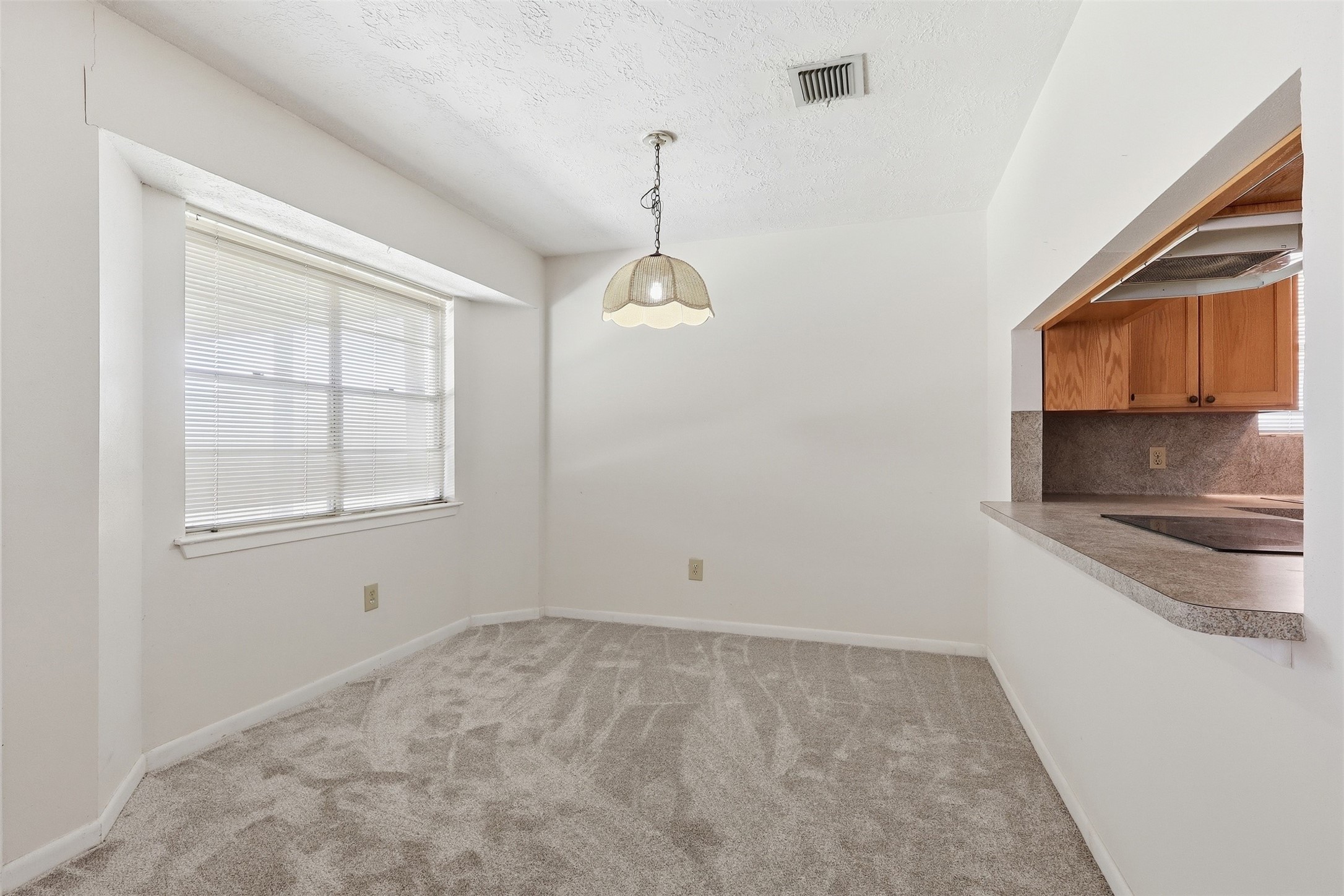 10110 Shell Rock Road Property Photo 6