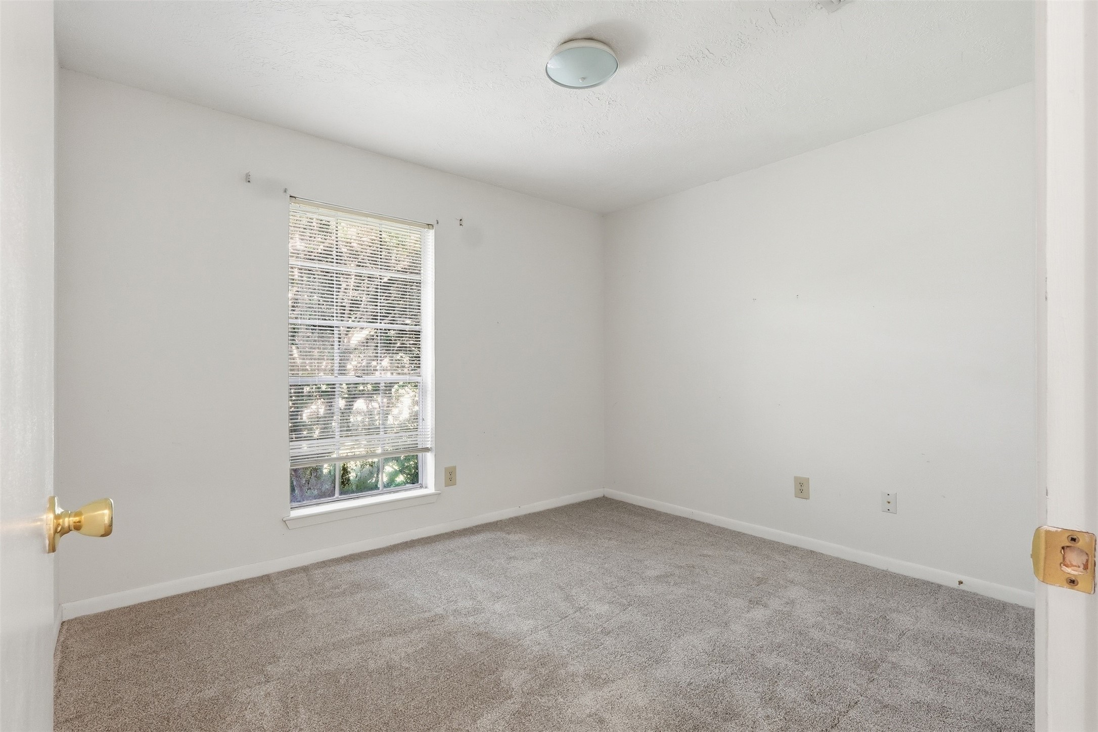 10110 Shell Rock Road Property Photo 13