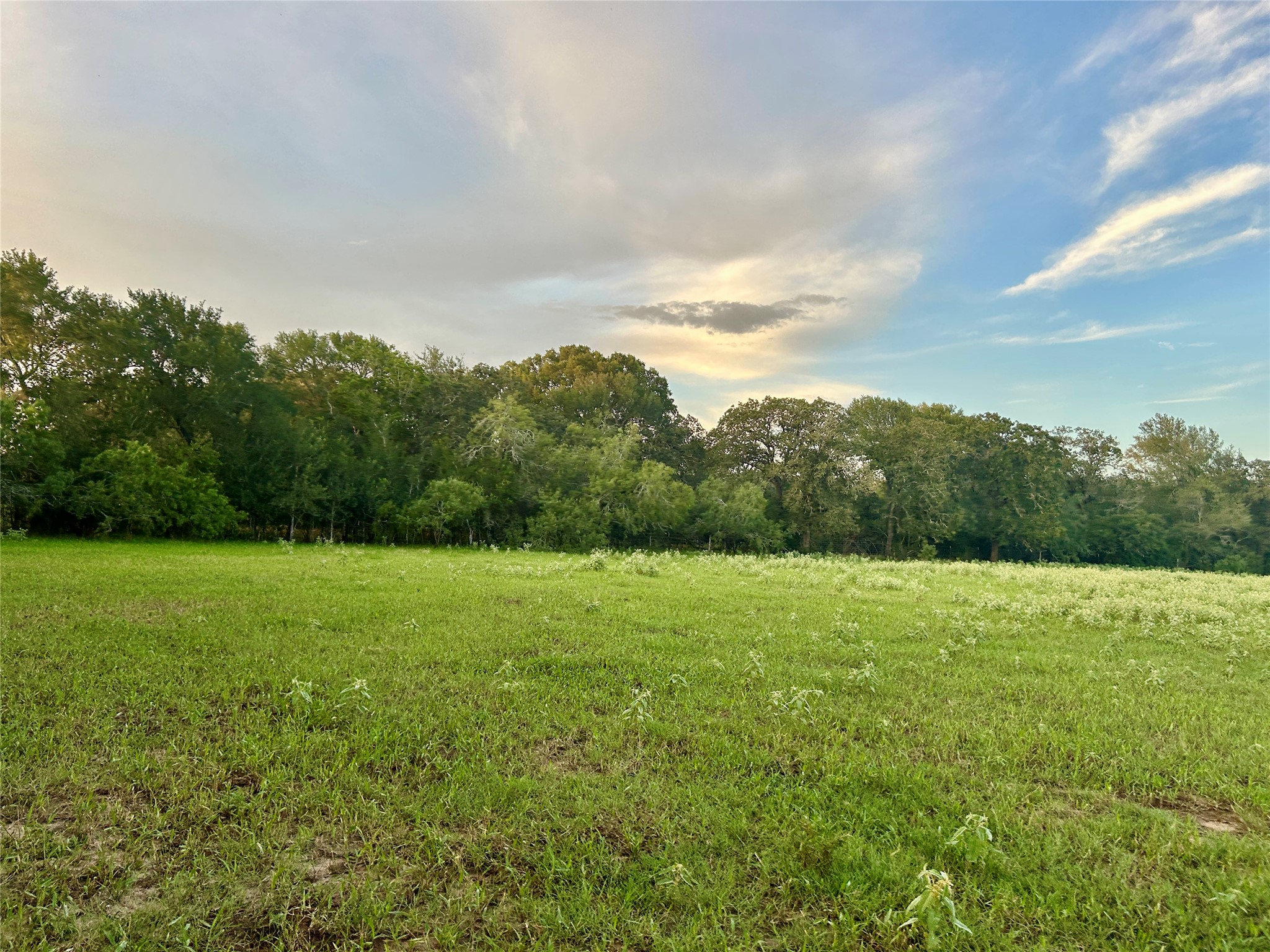 9590 Maynard Hallmark Road Property Photo 7