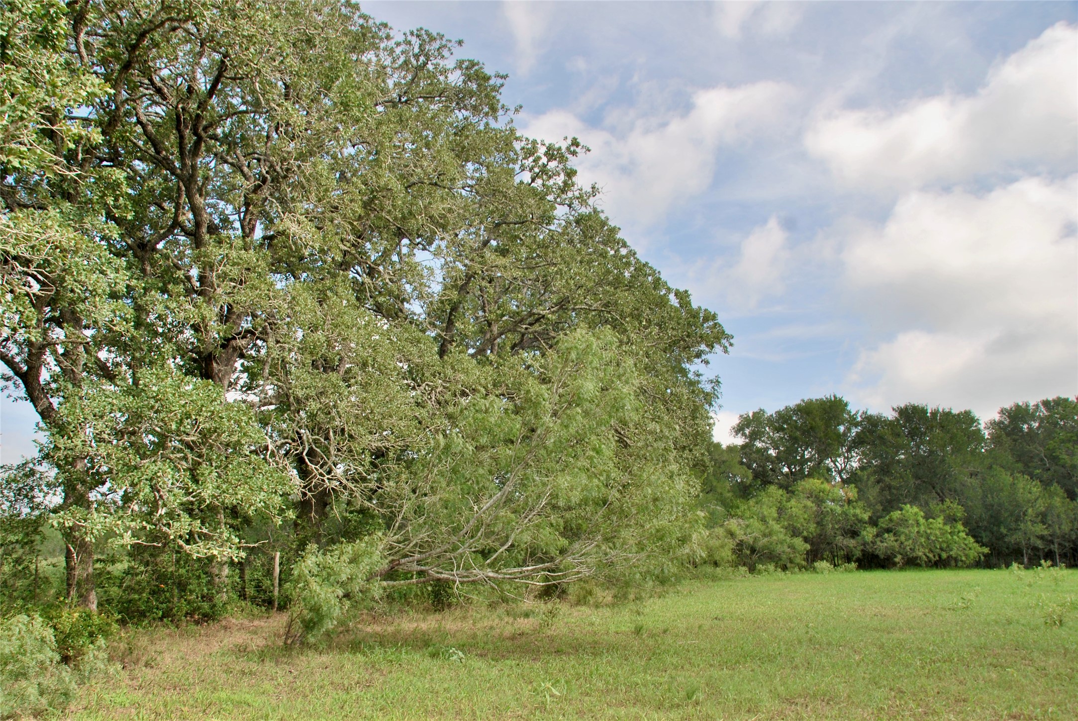 9590 Maynard Hallmark Road Property Photo 16