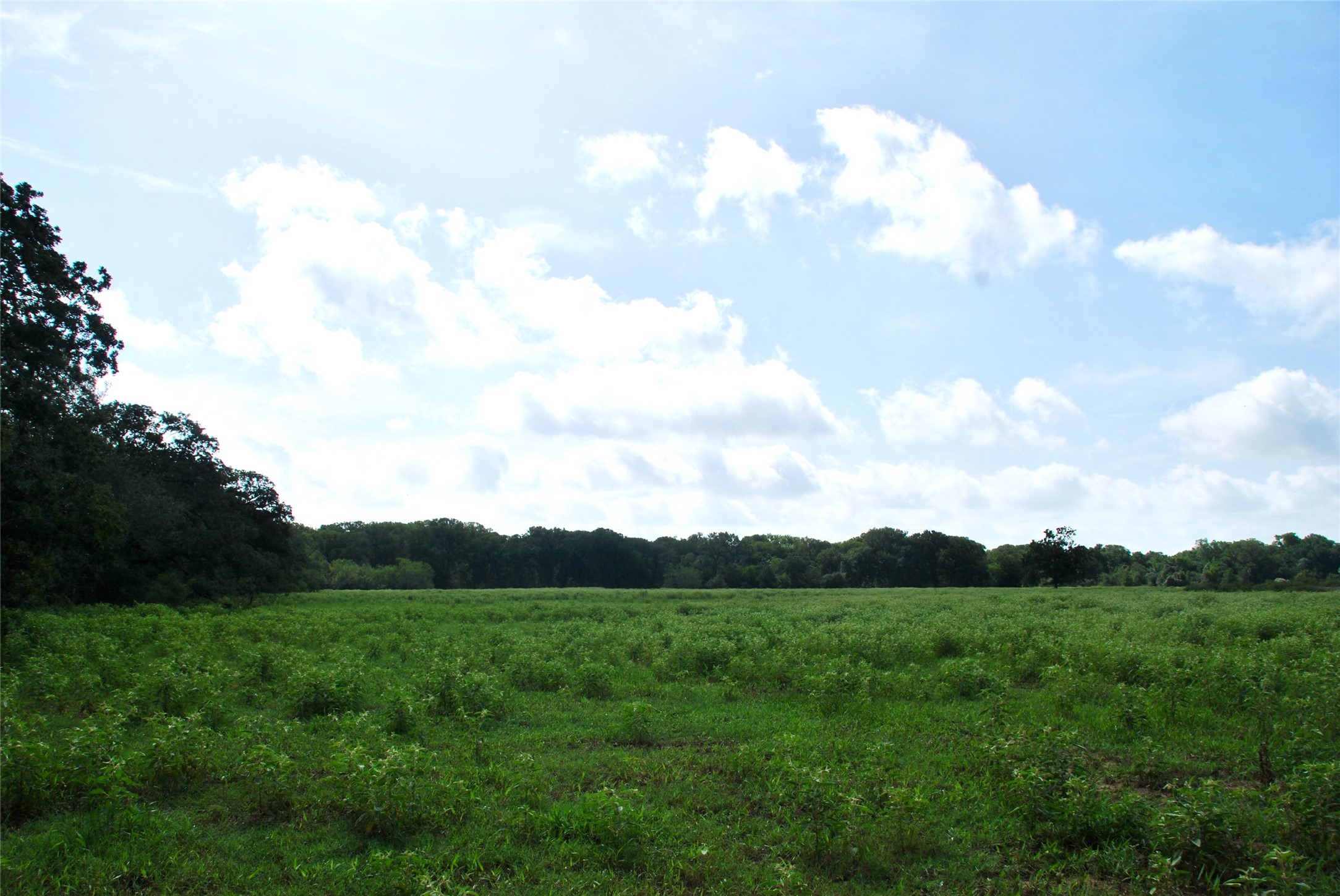 9590 Maynard Hallmark Road Property Photo 24