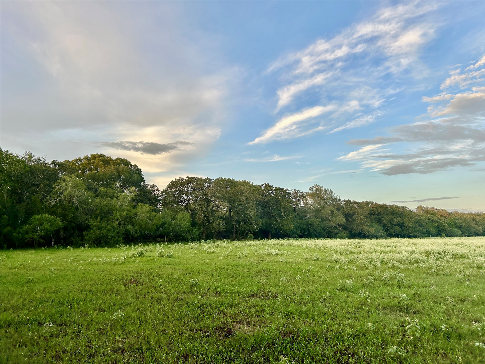 9590 Maynard Hallmark Road Property Photo 25