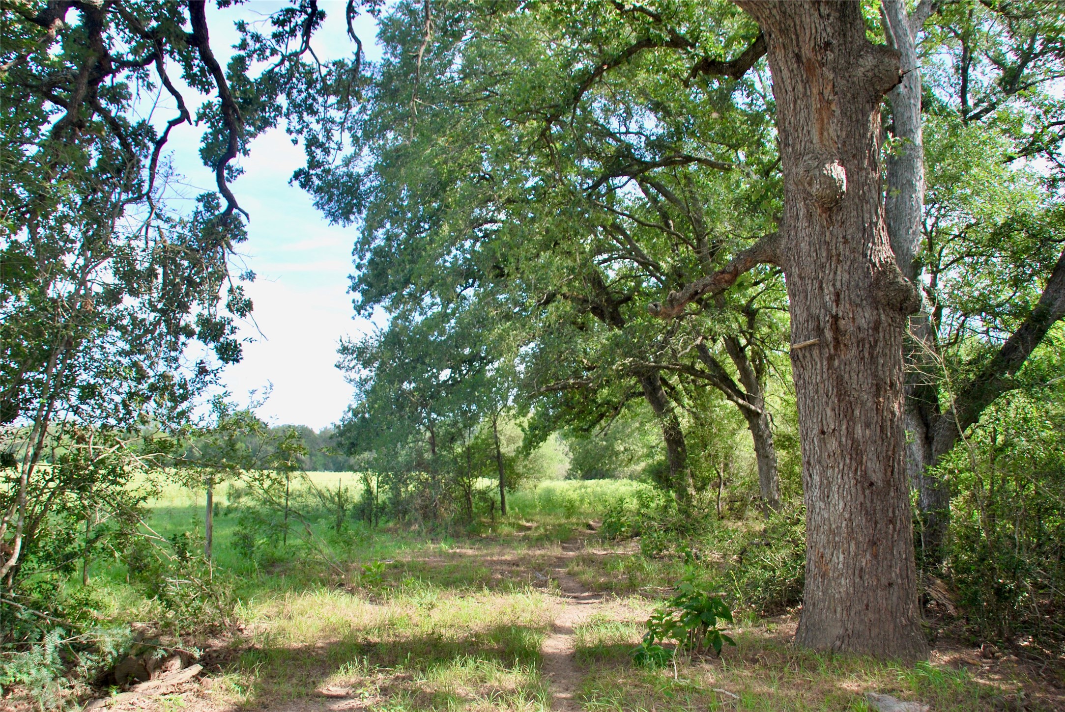 9590 Maynard Hallmark Road Property Photo 27