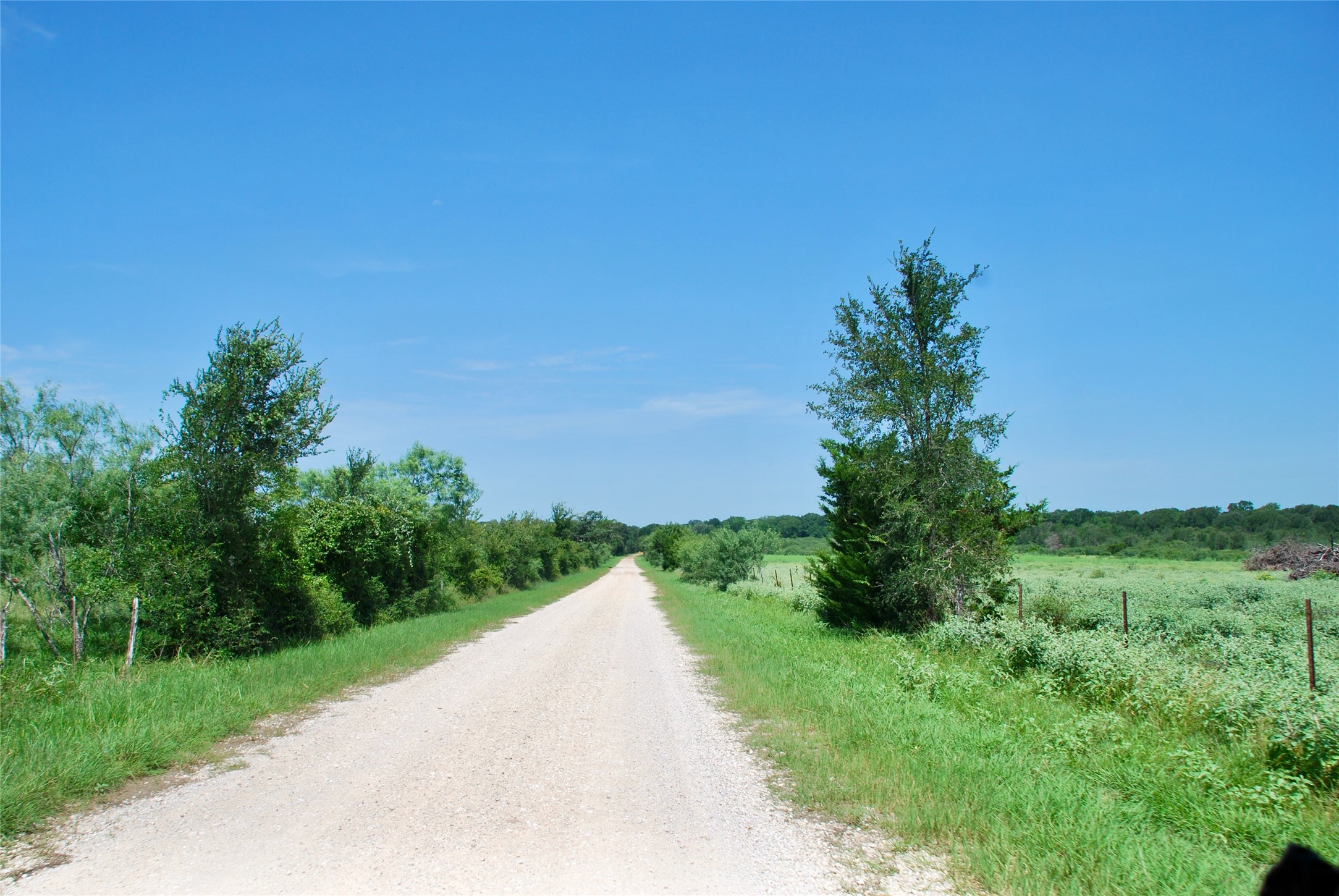 9590 Maynard Hallmark Road Property Photo 28