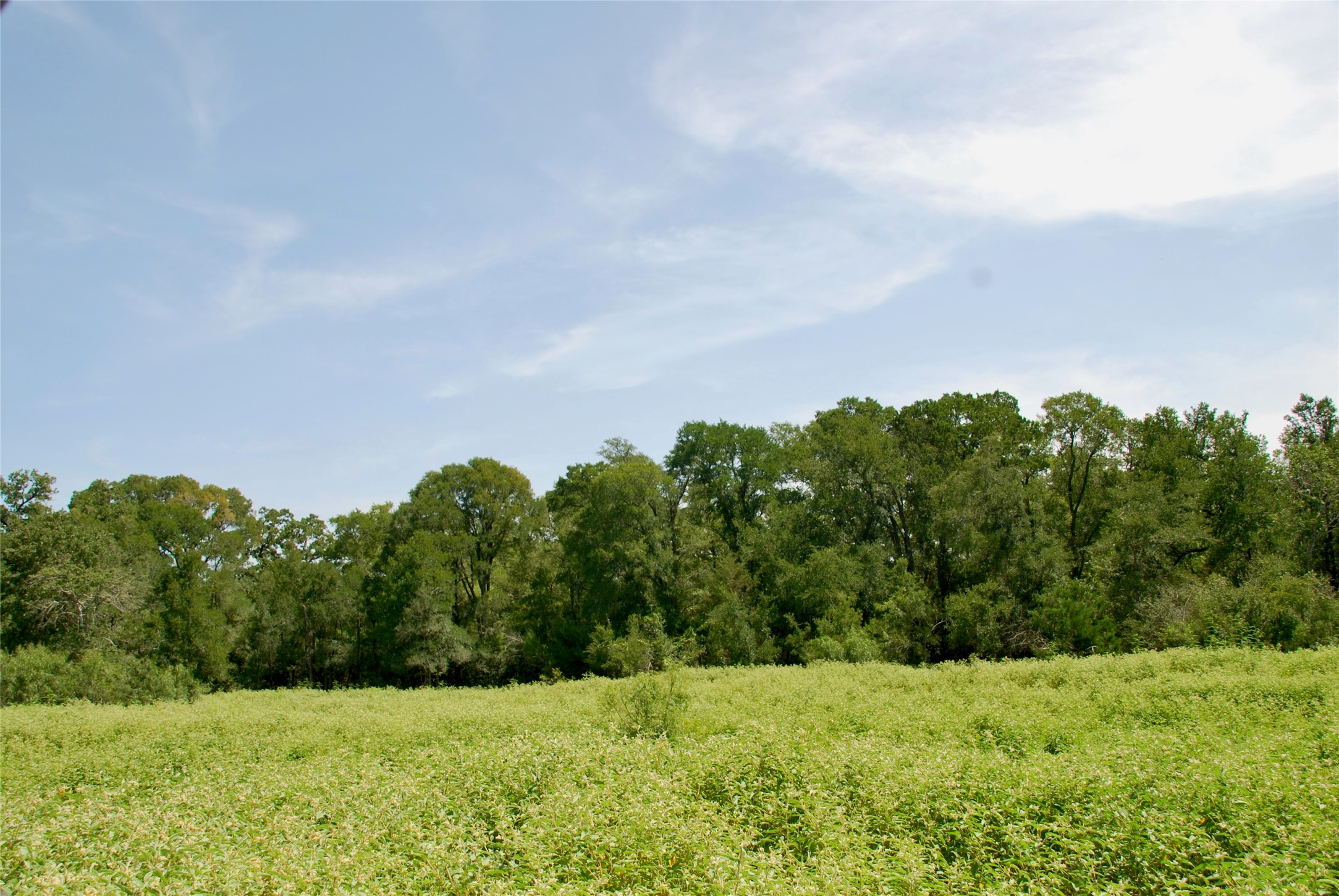 9590 Maynard Hallmark Road Property Photo 33
