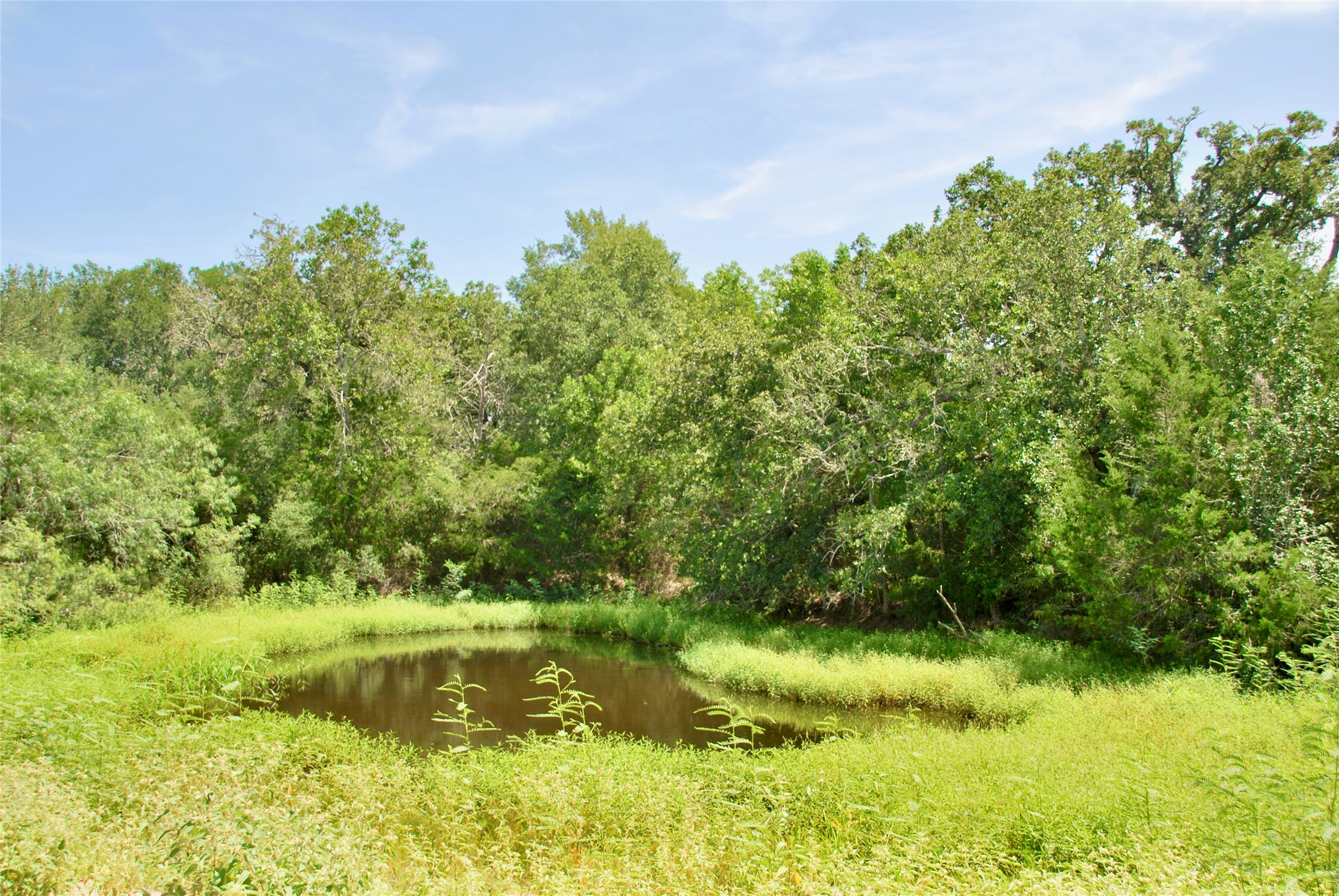 9590 Maynard Hallmark Road Property Photo 34