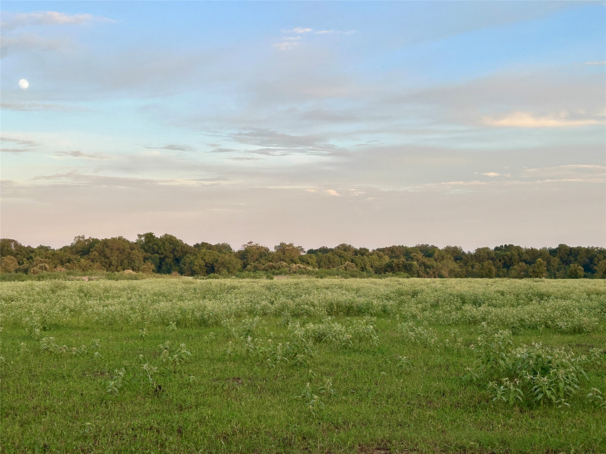 9590 Maynard Hallmark Road Property Photo 36