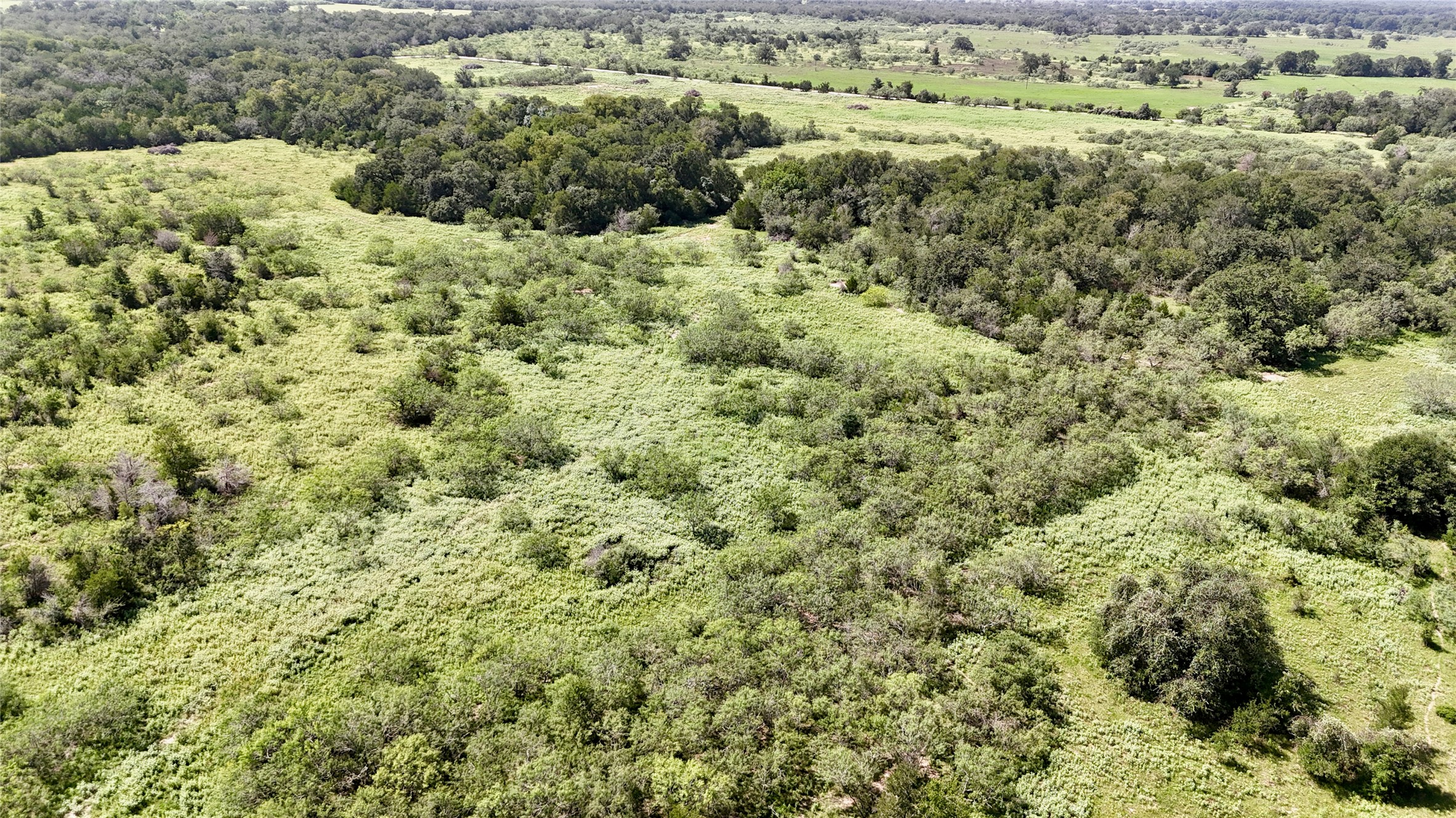 9590 Maynard Hallmark Road Property Photo 37