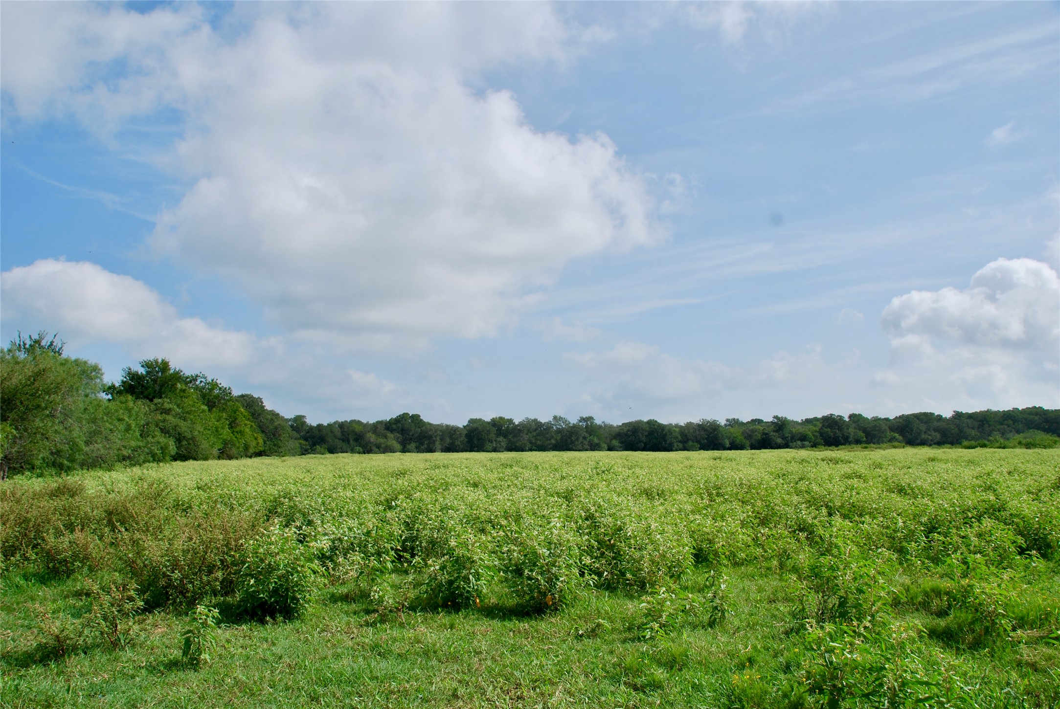 9590 Maynard Hallmark Road Property Photo 38