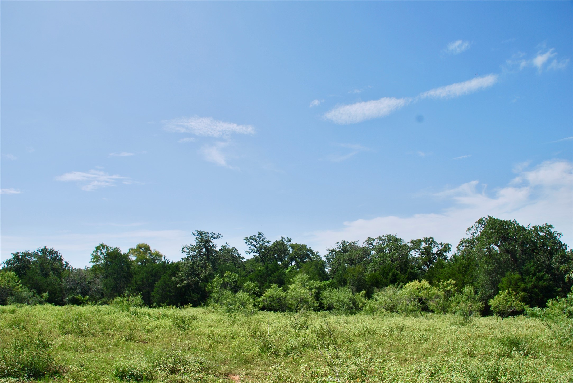 9590 Maynard Hallmark Road Property Photo 41