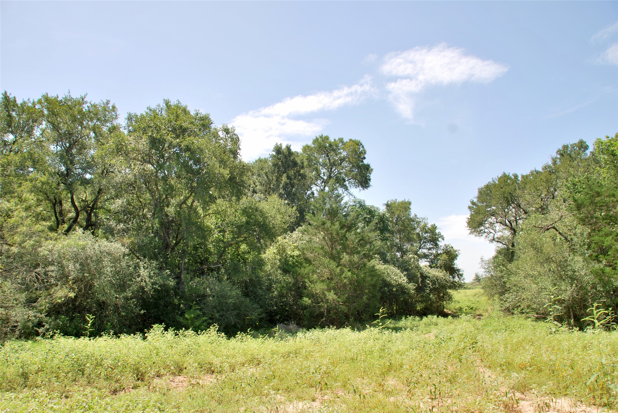 9590 Maynard Hallmark Road Property Photo 42