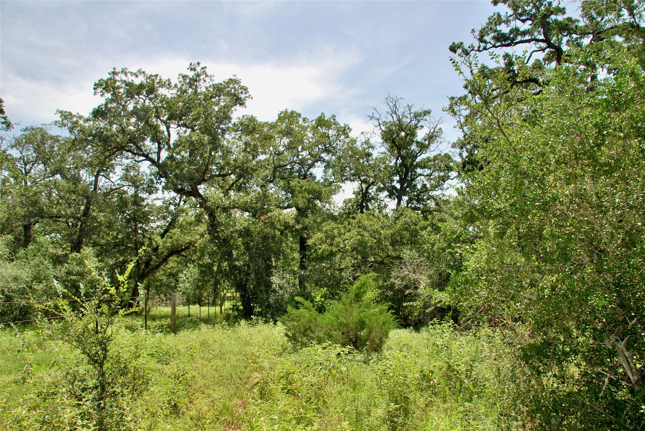 9590 Maynard Hallmark Road Property Photo 44