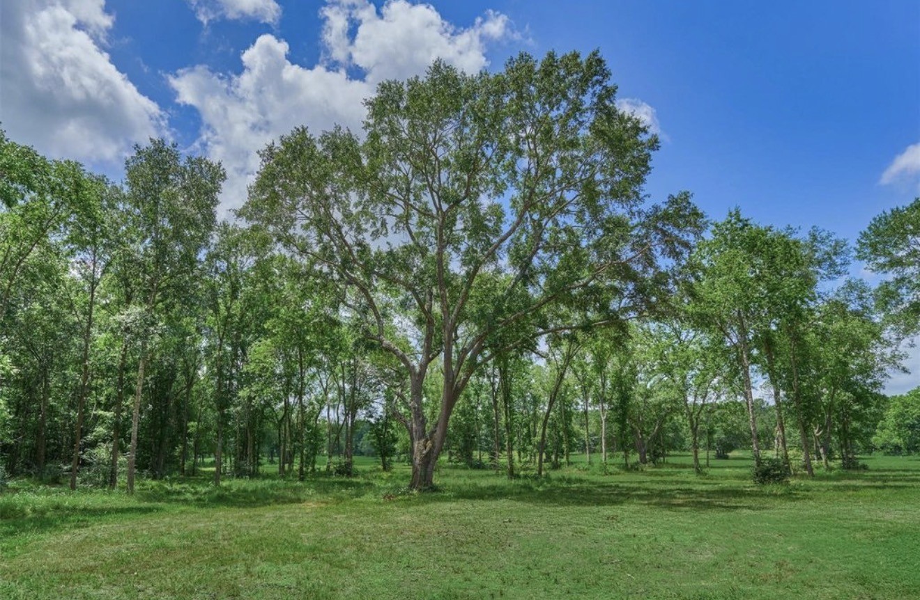22930 Sharpwest Trail Property Photo 3
