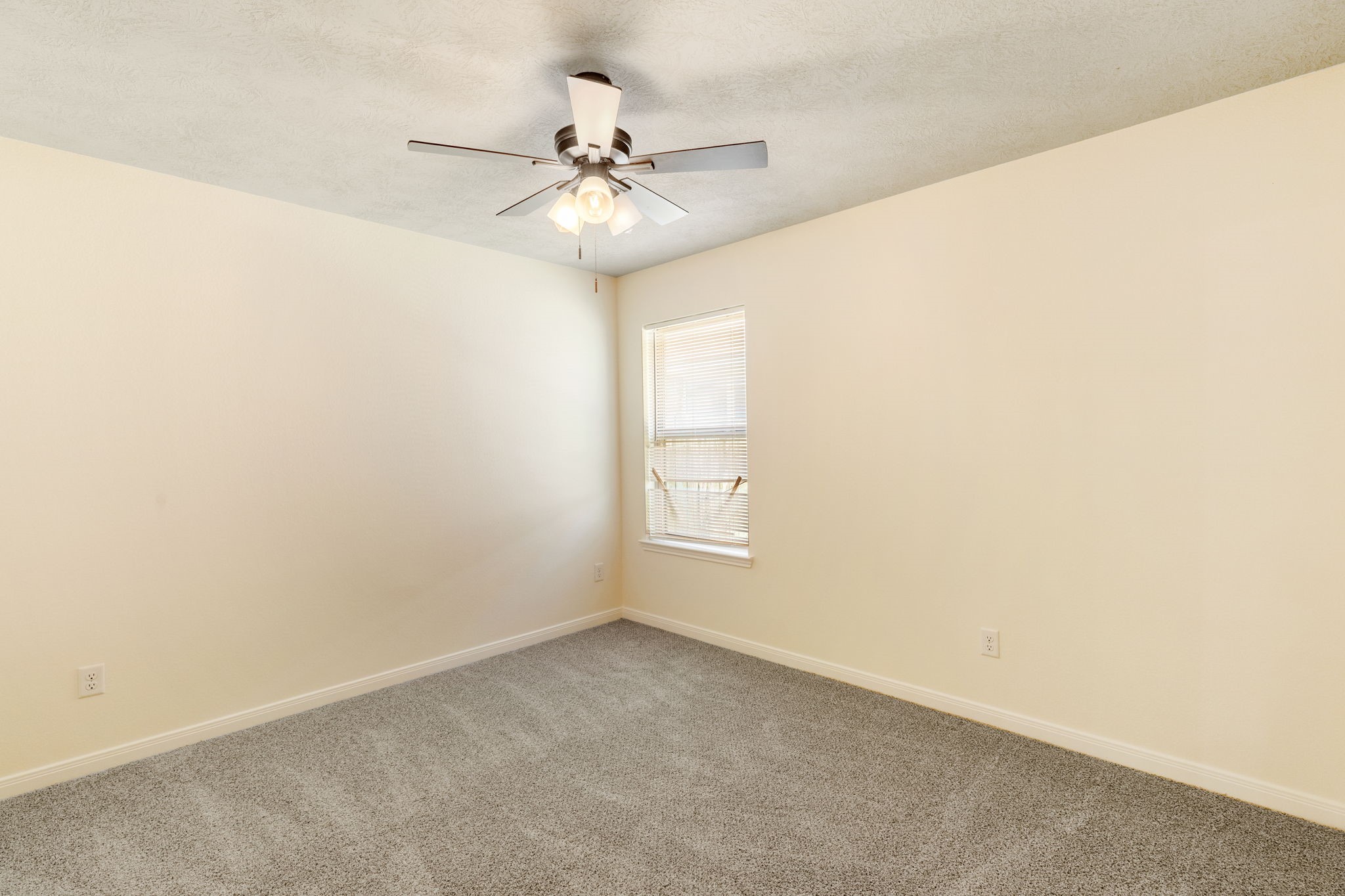 3865 Still Creek Loop Property Photo 26