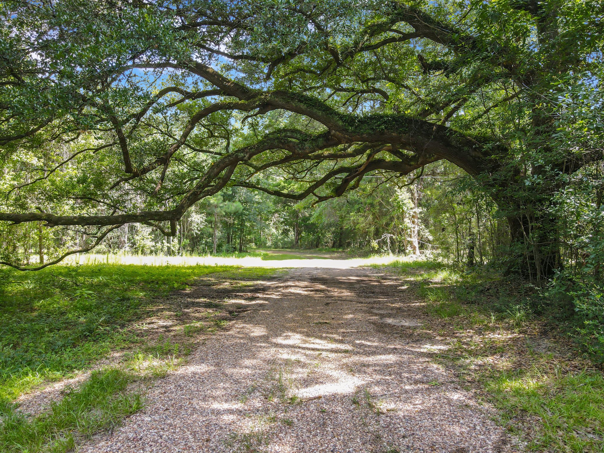 2020 Fm 770 Road Property Photo 6