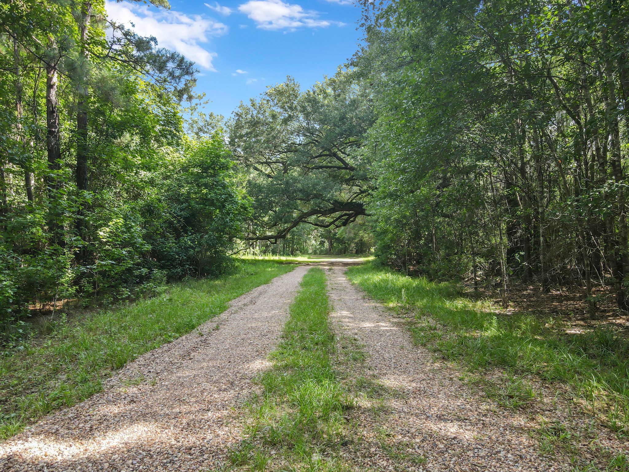 2020 Fm 770 Road Property Photo 7