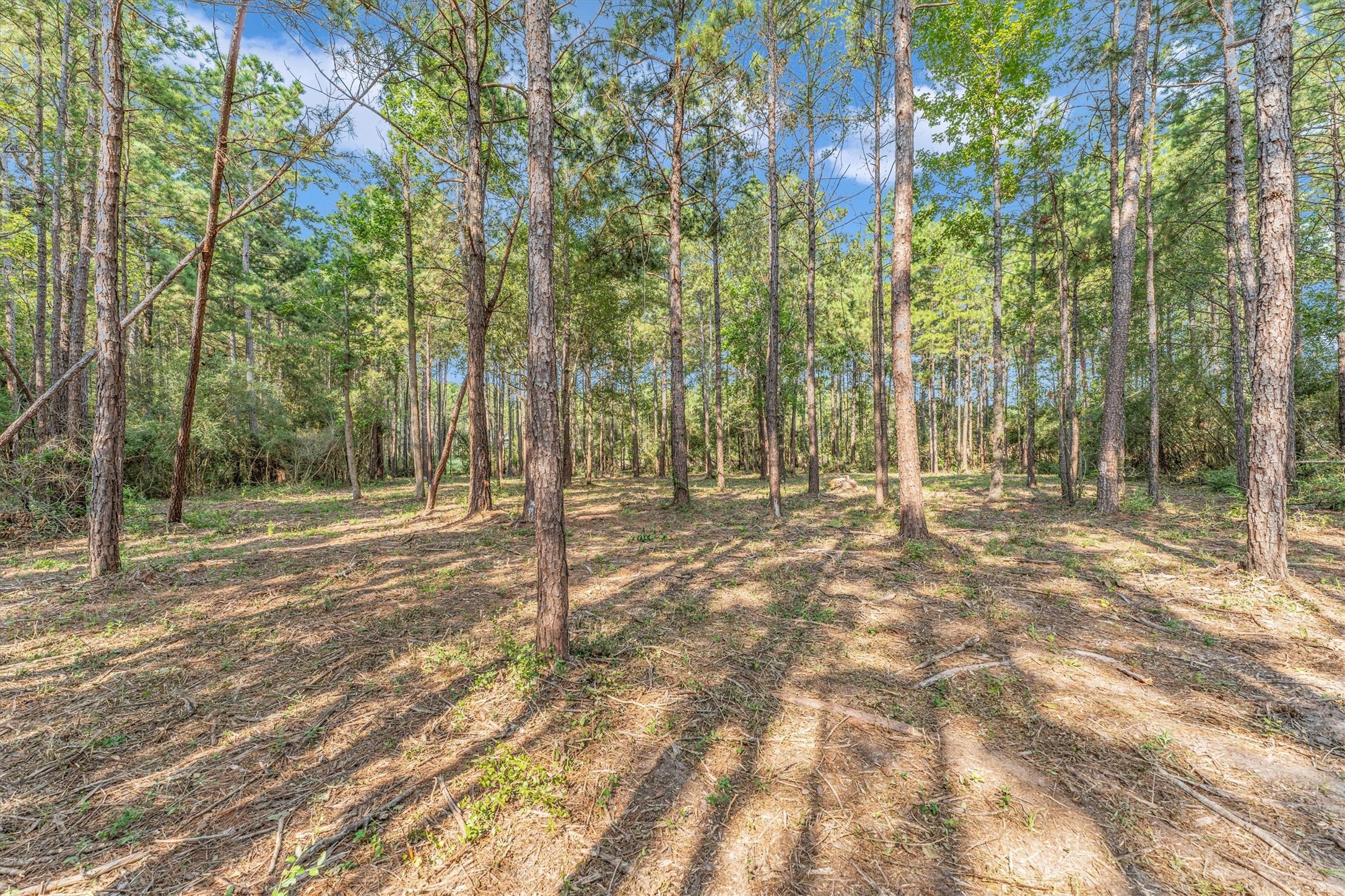 8304 Leafbrook Court Property Photo 7