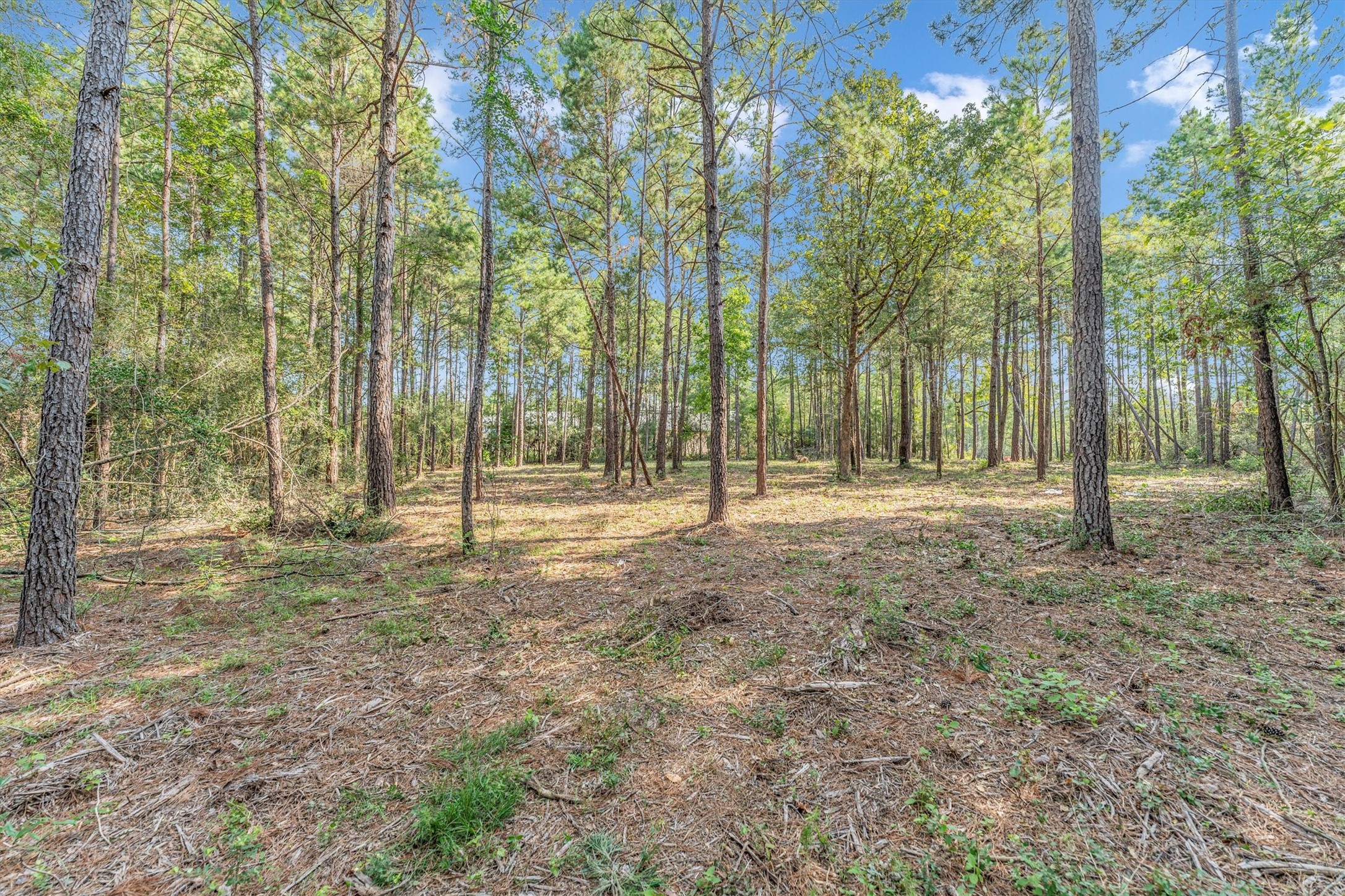 8304 Leafbrook Court Property Photo 10