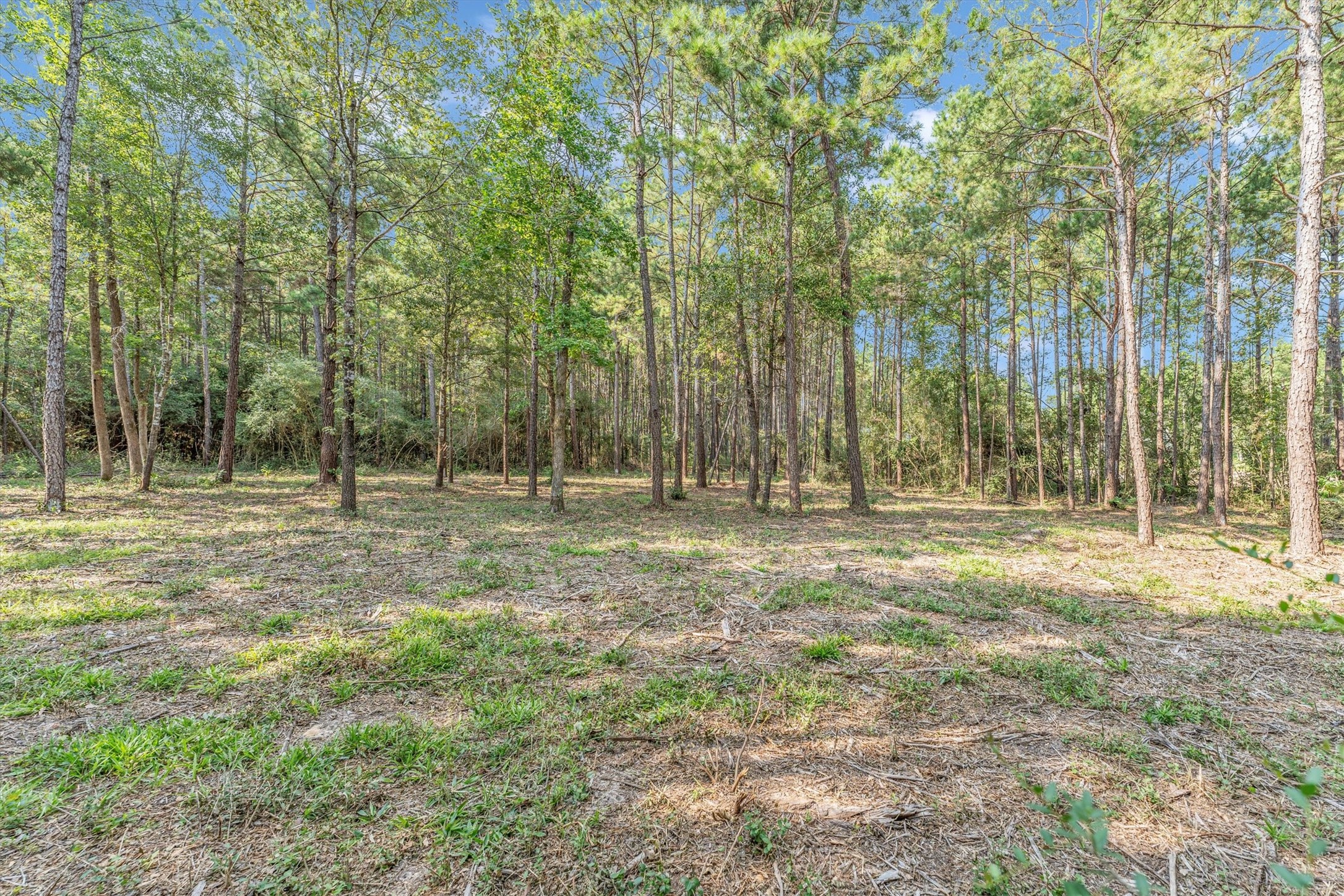 8304 Leafbrook Court Property Photo 12