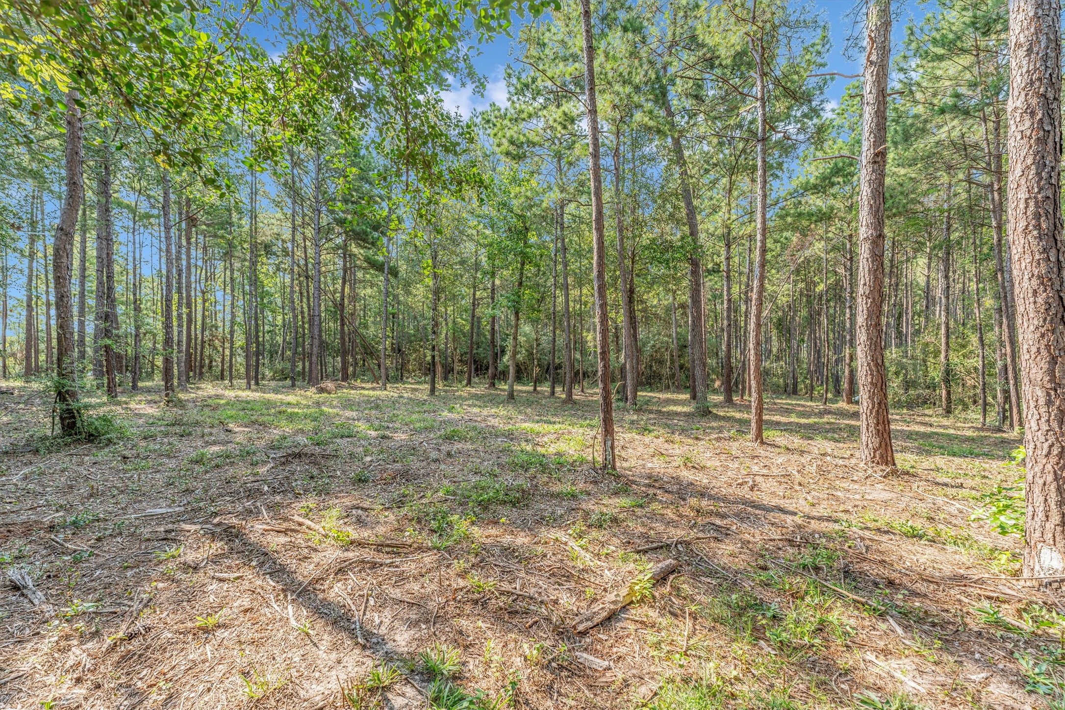 8304 Leafbrook Court Property Photo 13